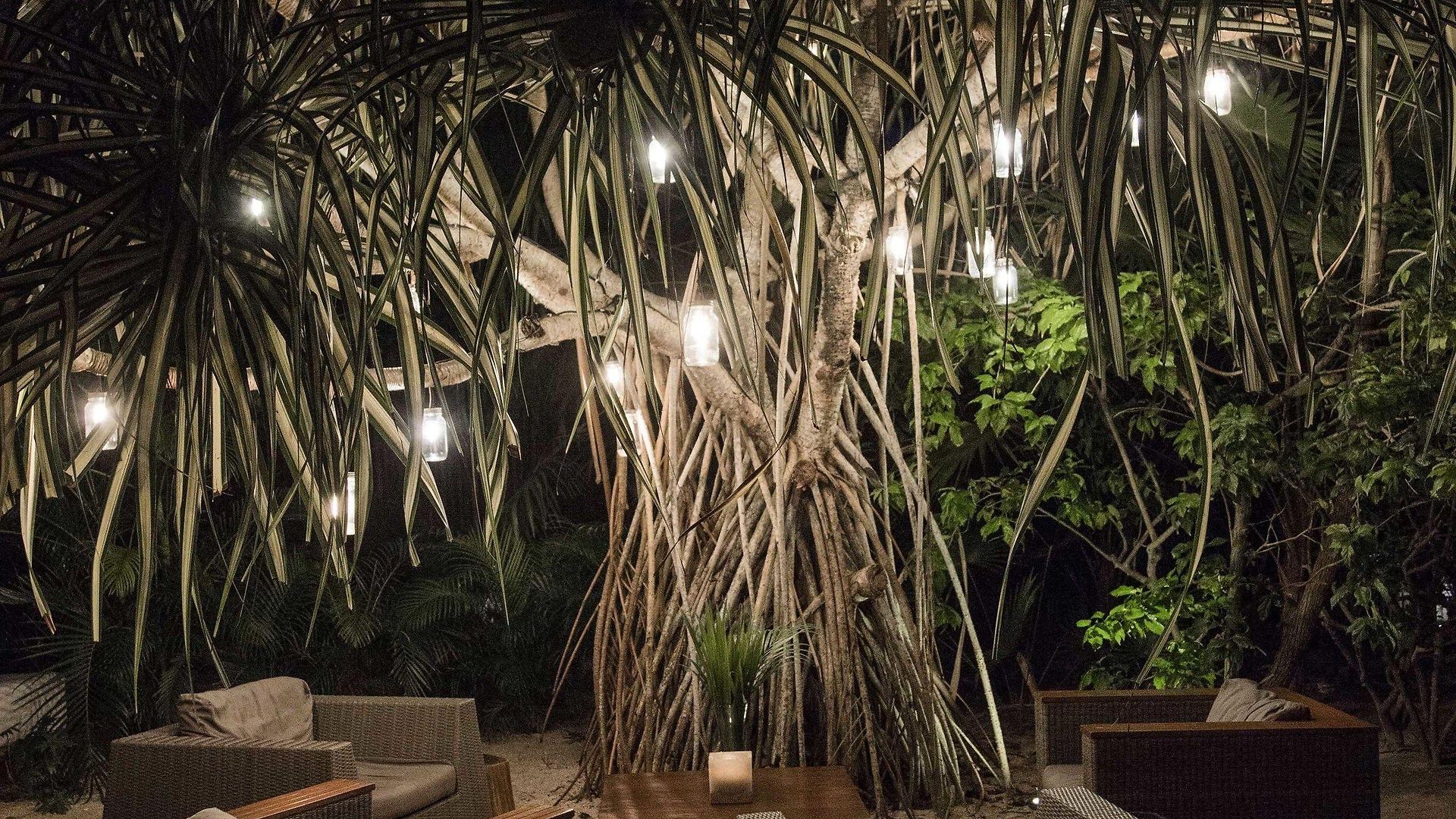 Jashita (adults Only) Tulum