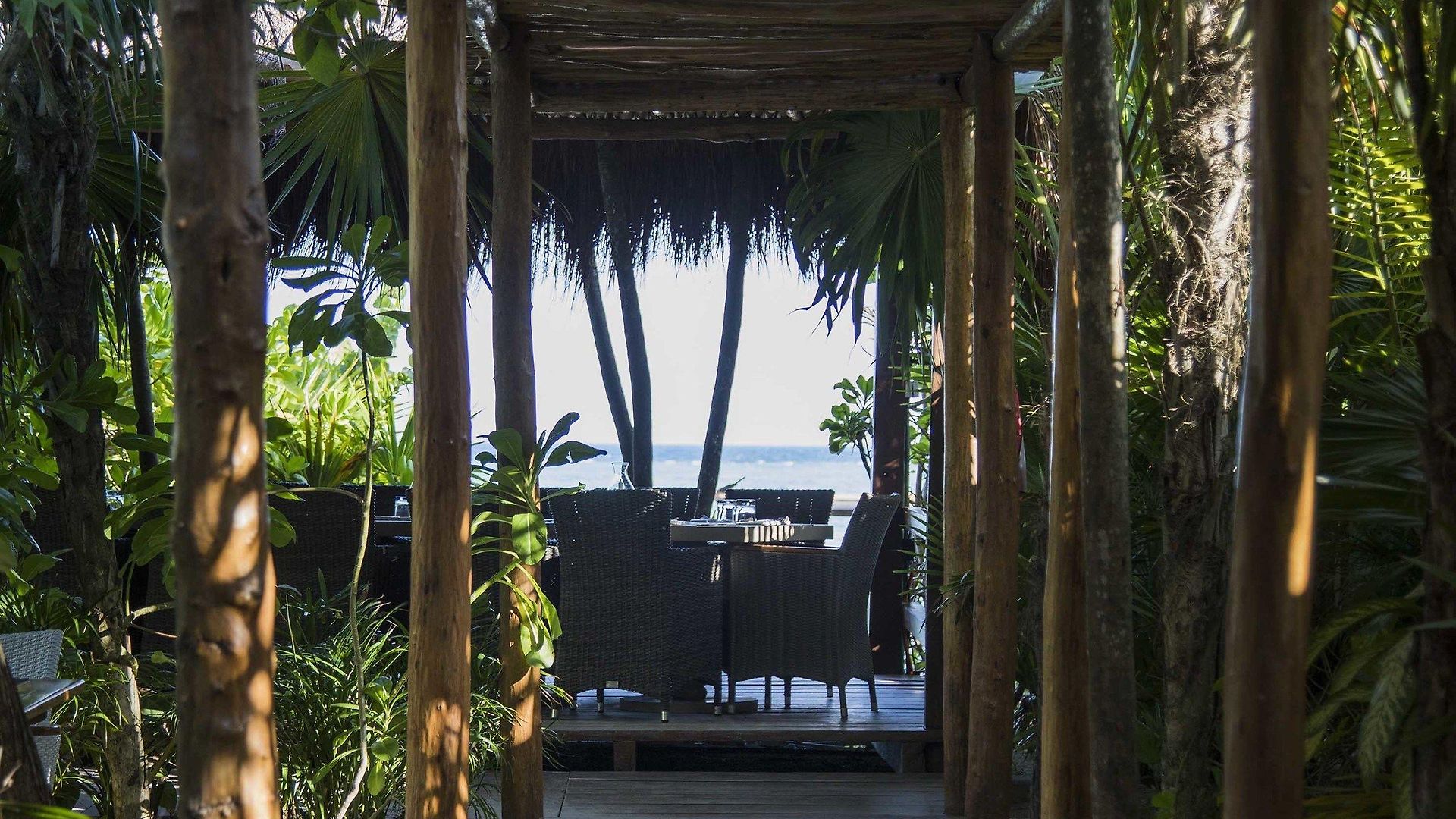 Jashita (adults Only) Tulum