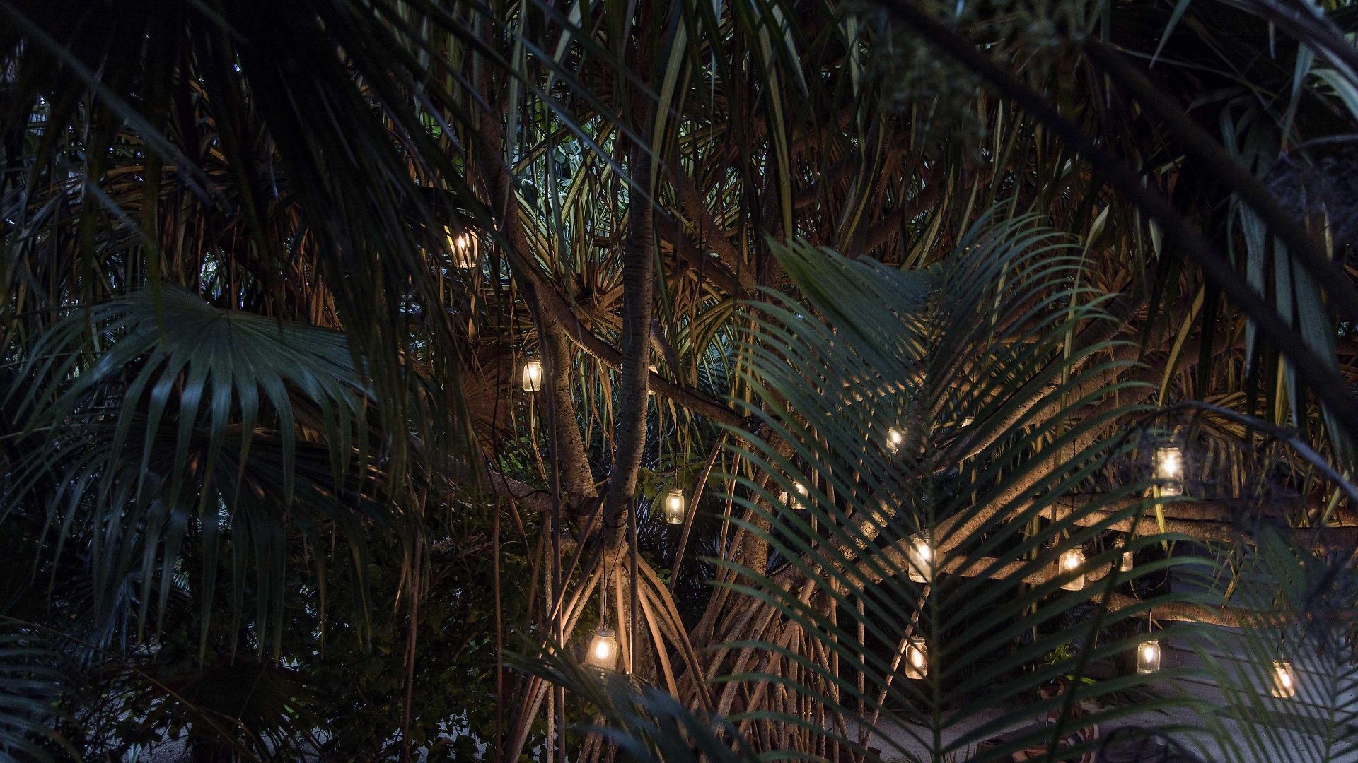 Jashita (adults Only) Tulum