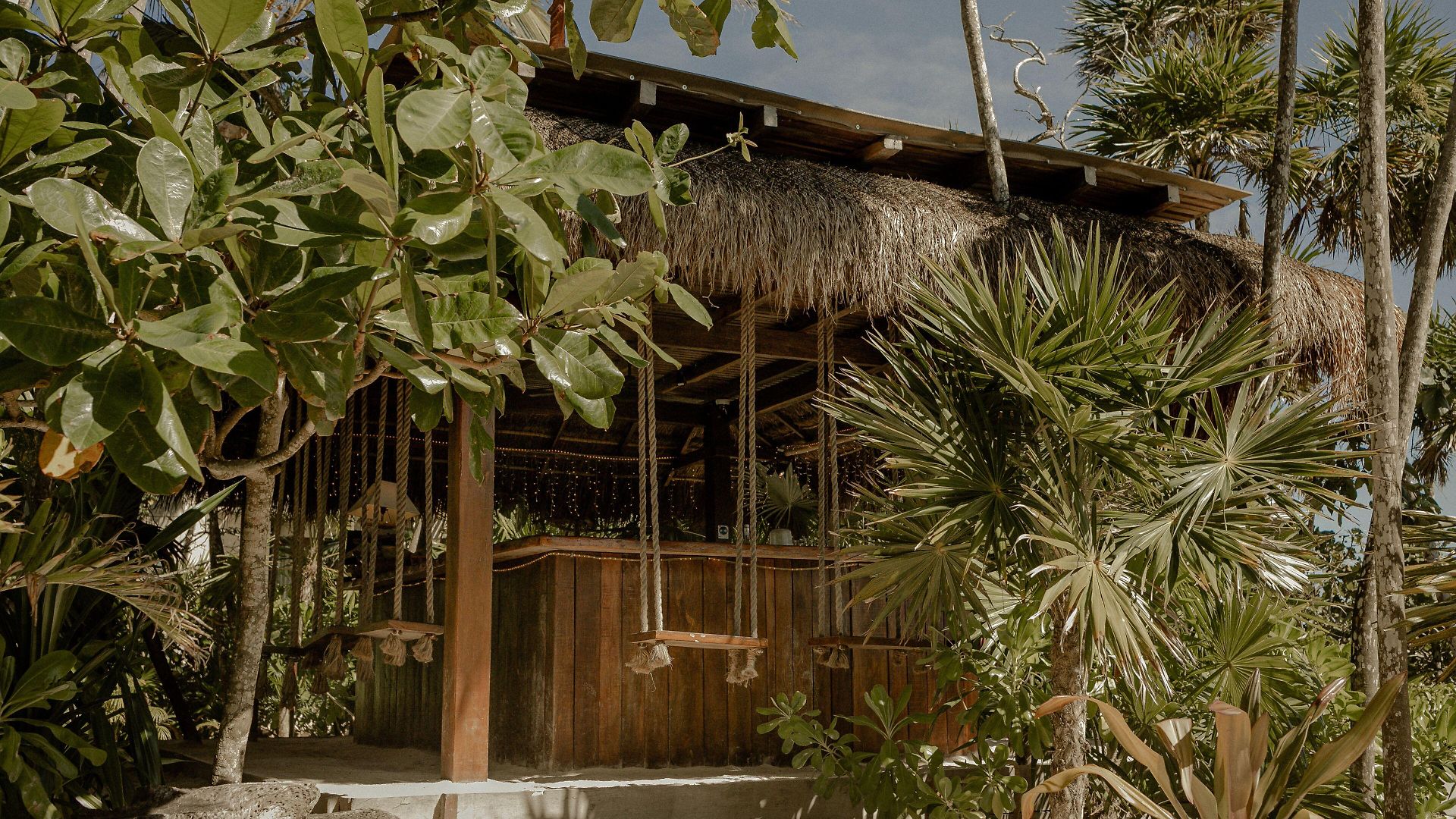 Jashita (adults Only) Hotel Tulum