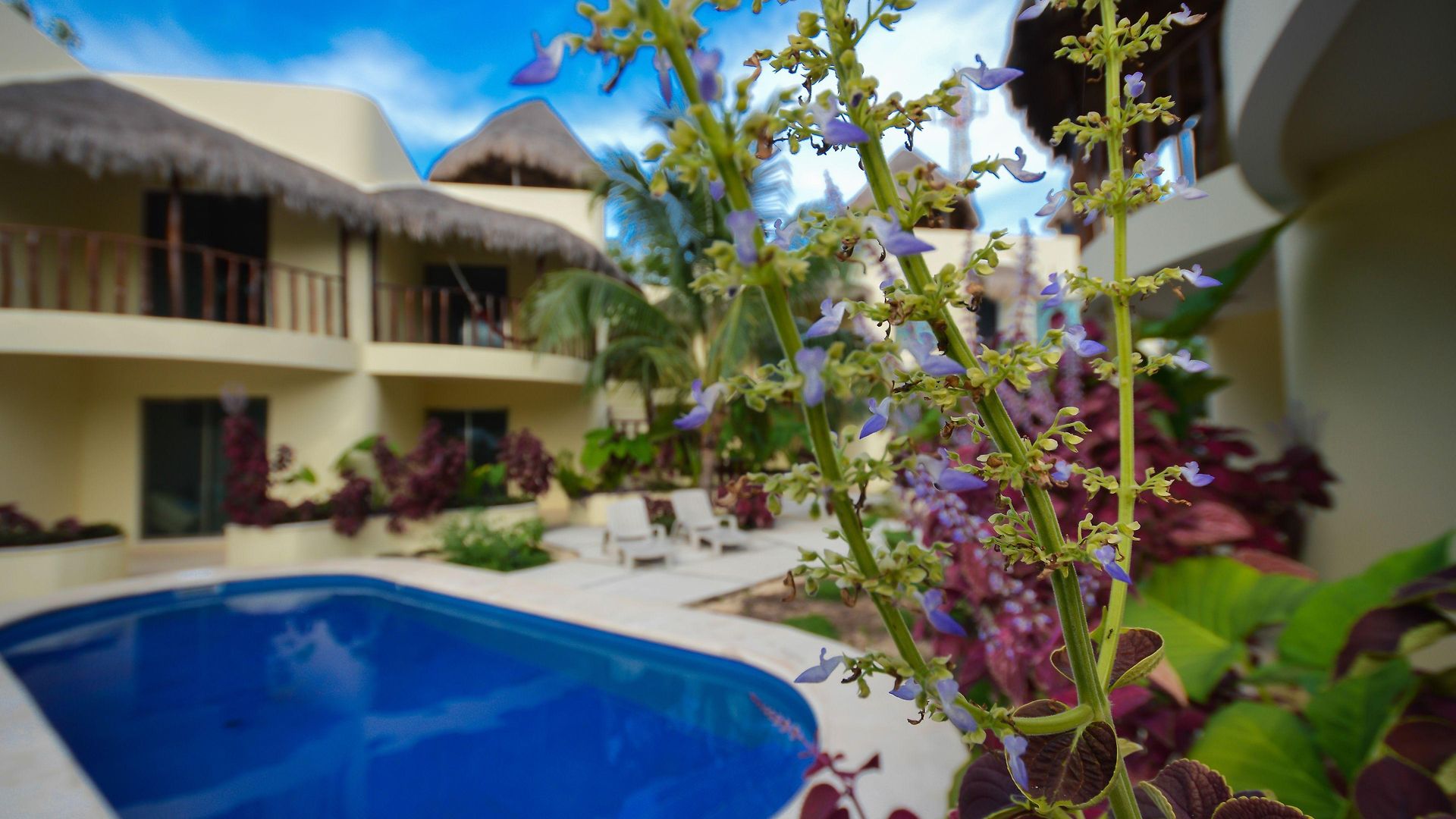 Apartahotel Akalan 4*