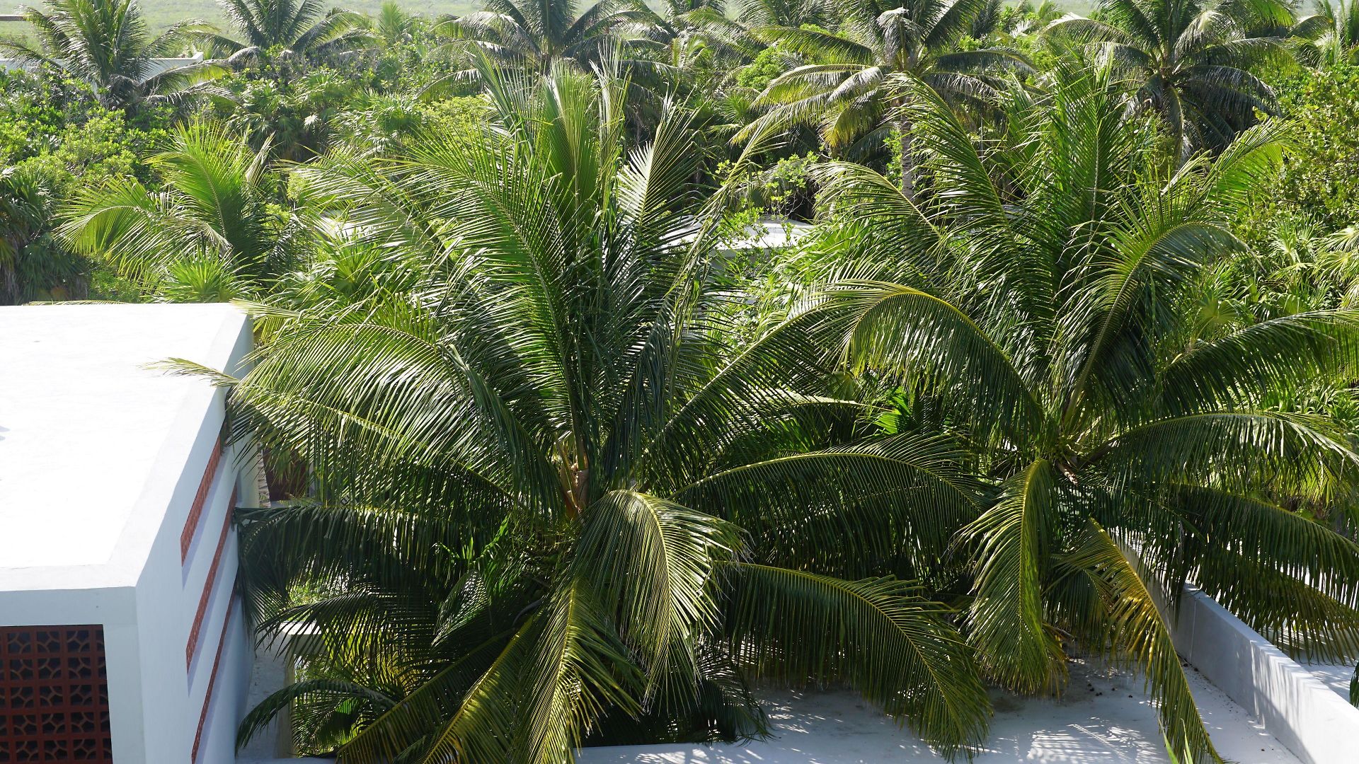Hotel Lula Tulum, A Small Luxury Tulum