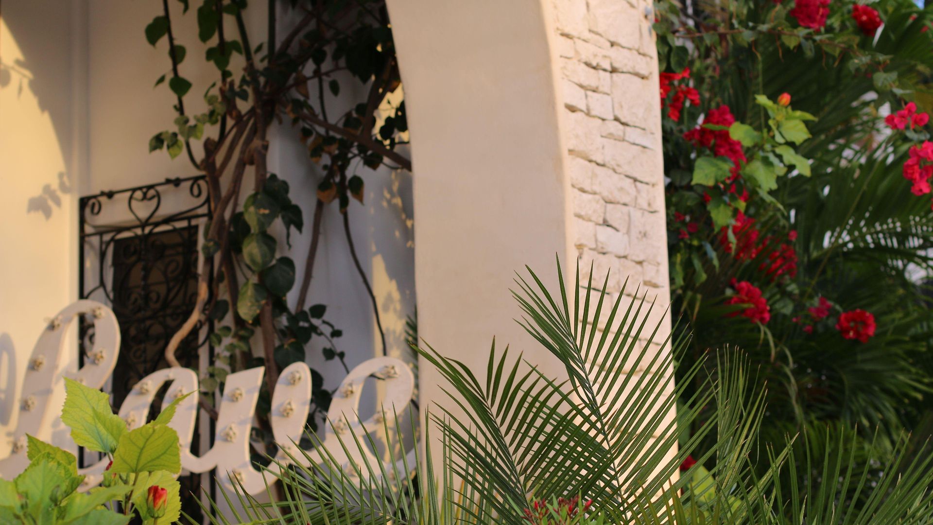 Livetulum