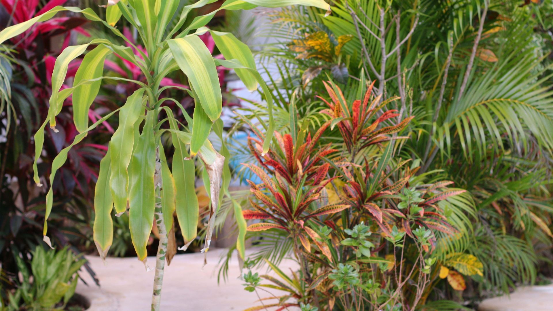 Apartahotel Livetulum 4*