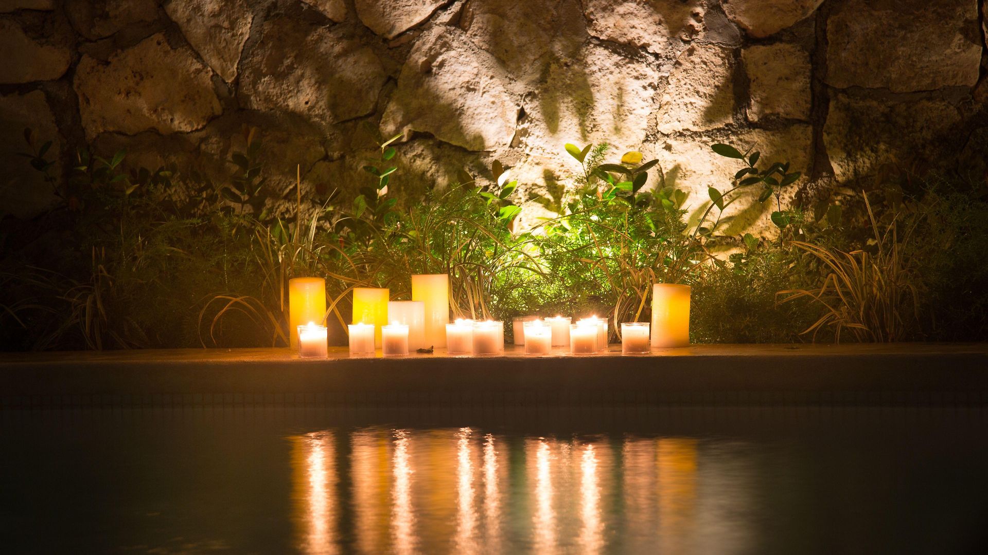 Livetulum 4*