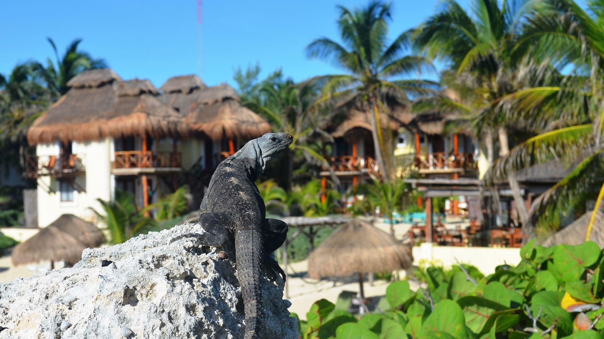Piedra Escondida Tulum