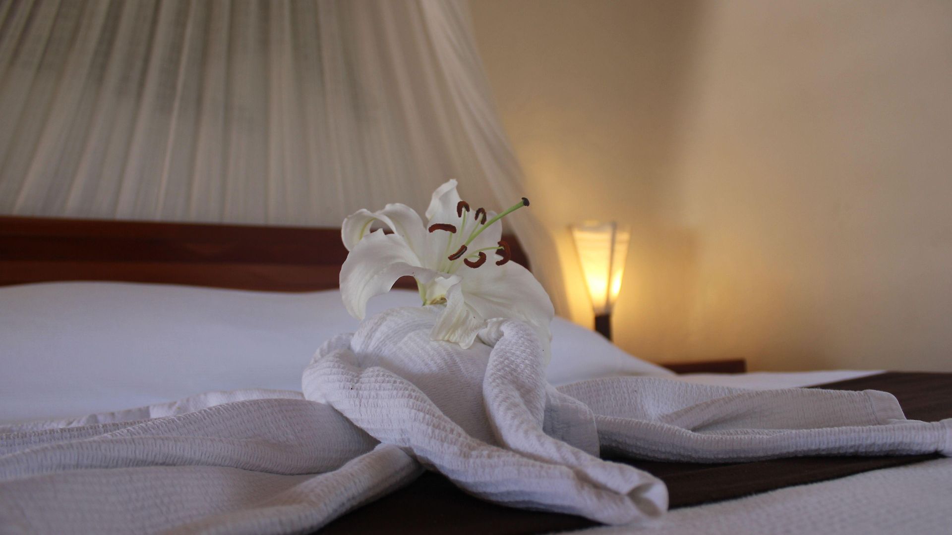 Piedra Escondida Hotel