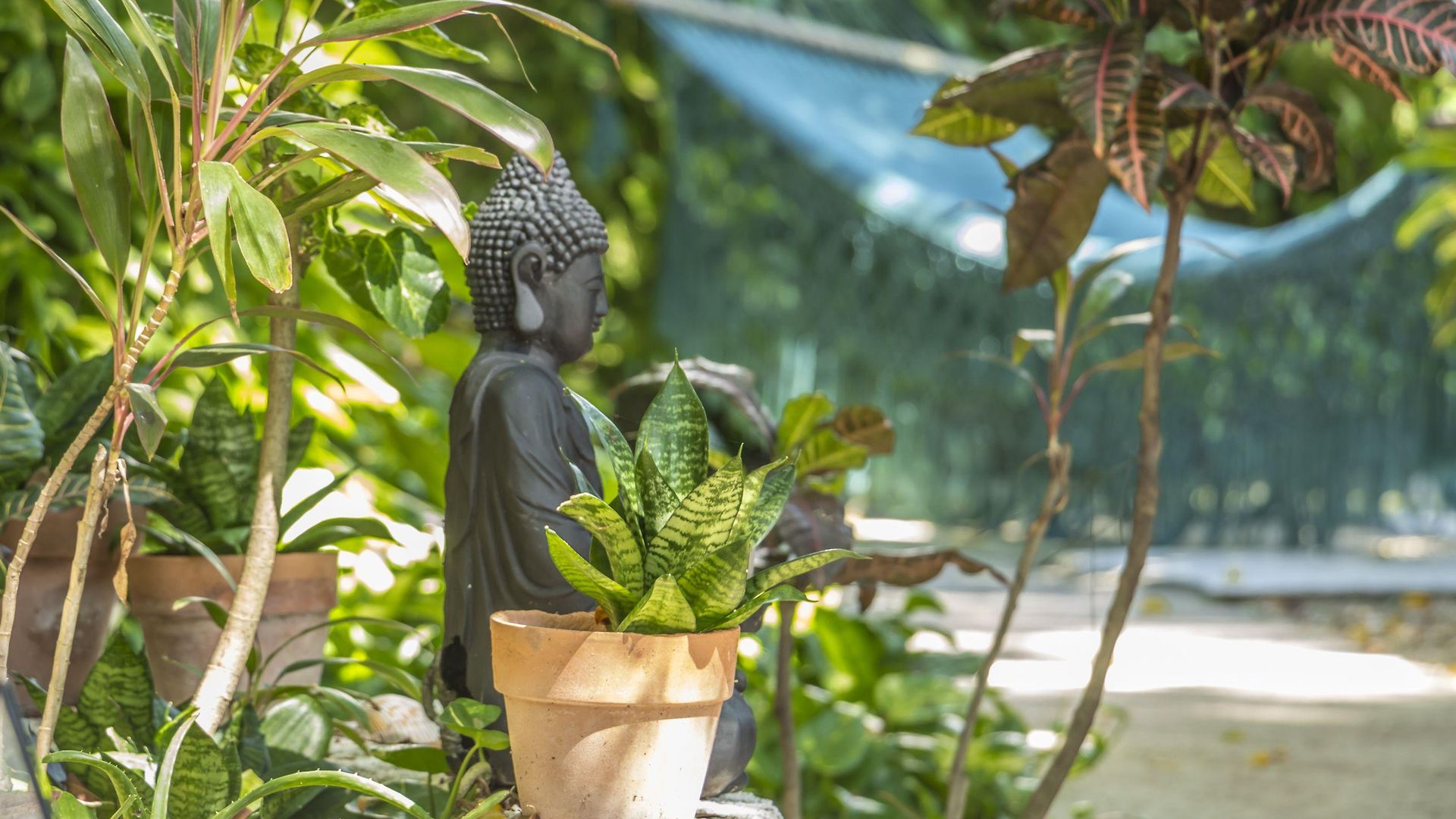 Secret Garden Hotel