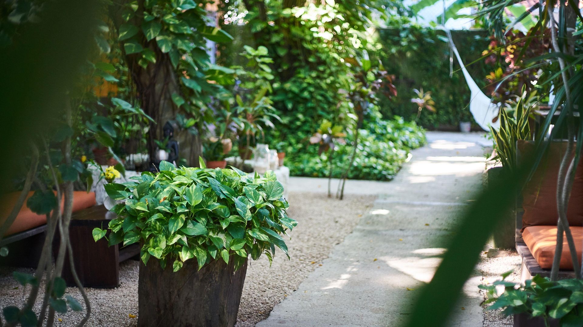 Secret Garden 3* Tulum