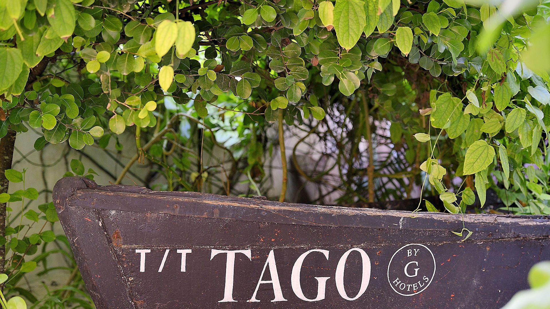 (adults Only) Tulum