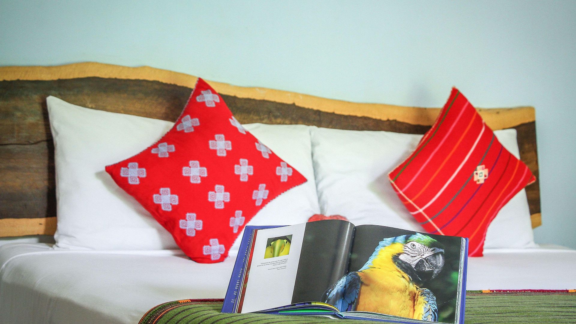 Eos Wellness By Amazonia Hotel Tulum
