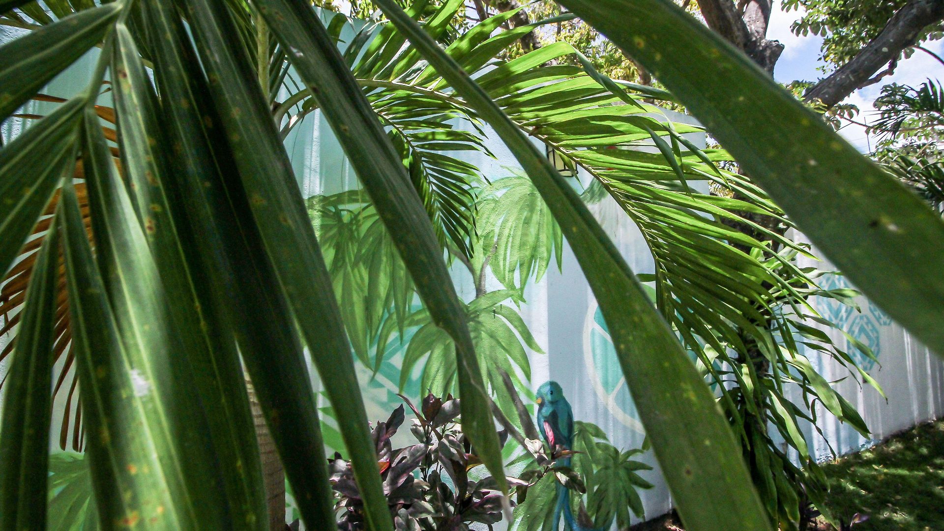 Eos Wellness By Amazonia Tulum