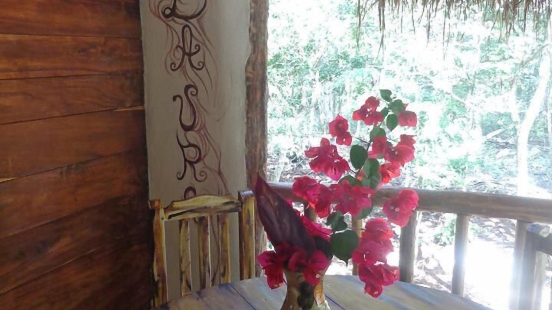 Casa Mango