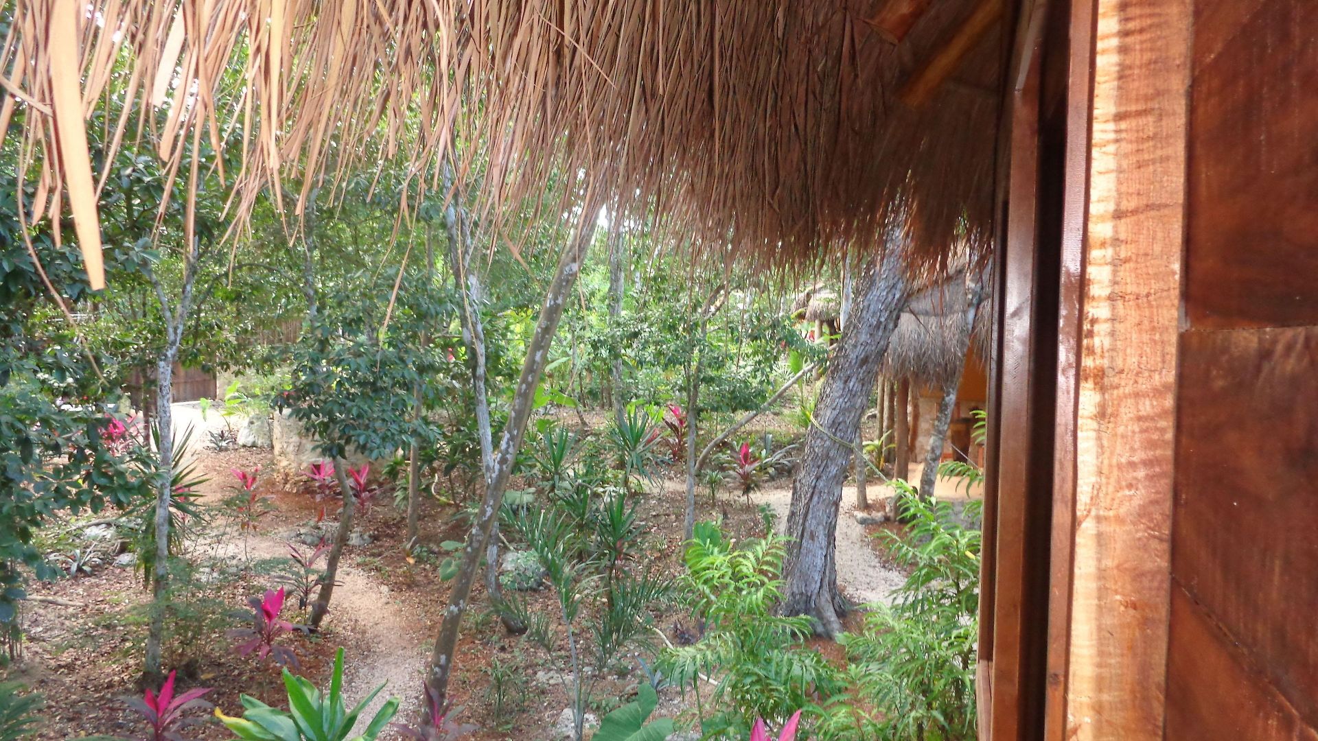 Casa Mango Bed and breakfast 4*