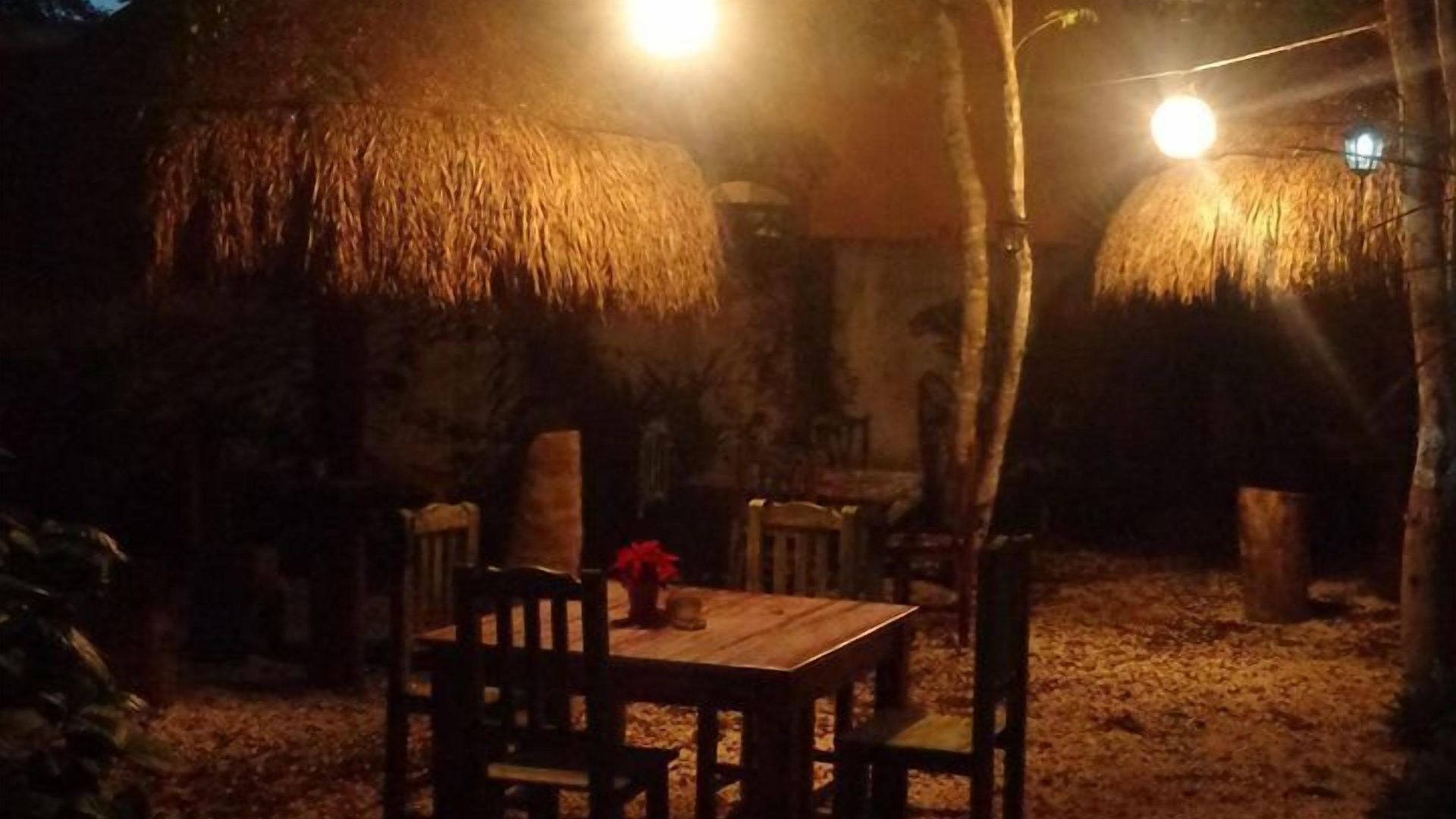 Casa Mango