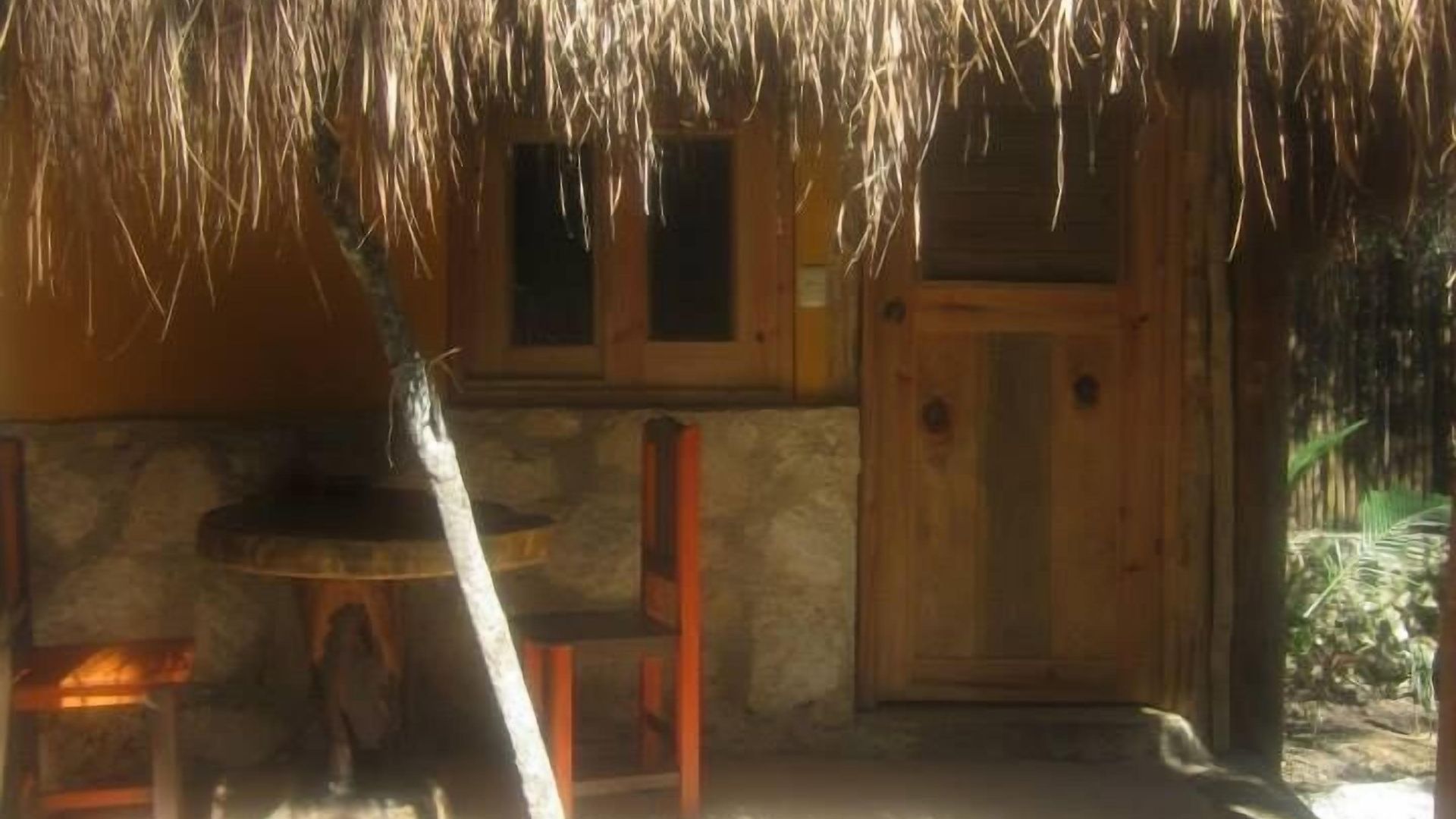 Casa Mango