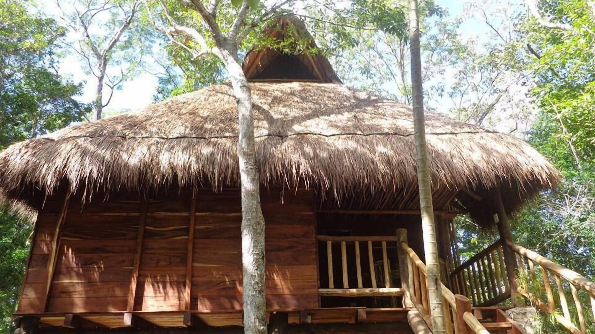Bed and breakfast Casa Mango 4*