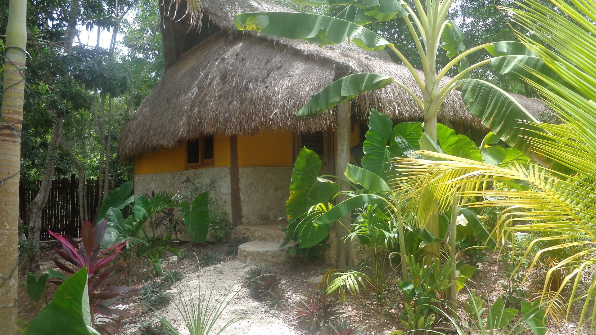 Casa Mango Bed and breakfast