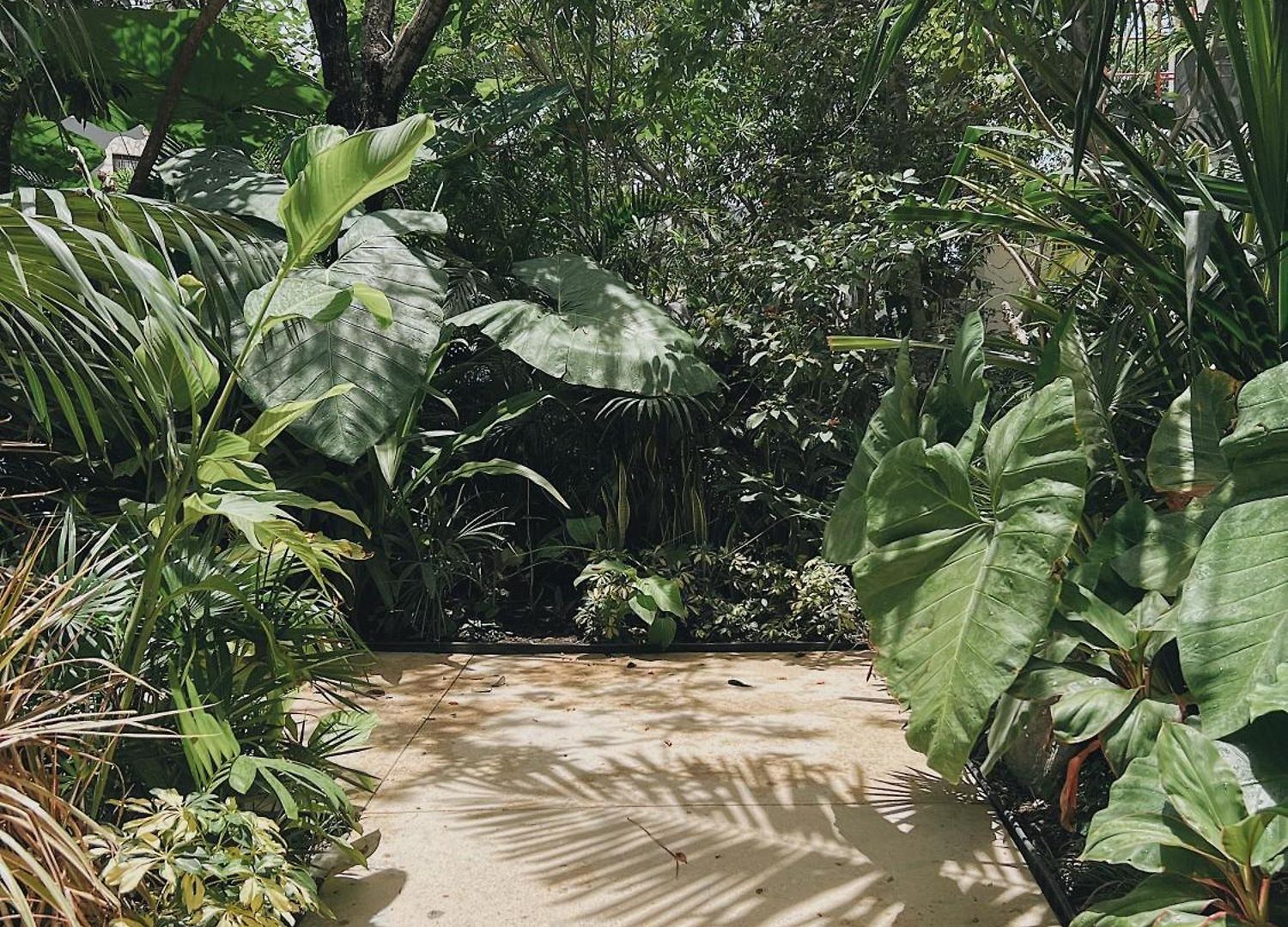 Refugio De Lujo En Сasa de vacaciones Tulum