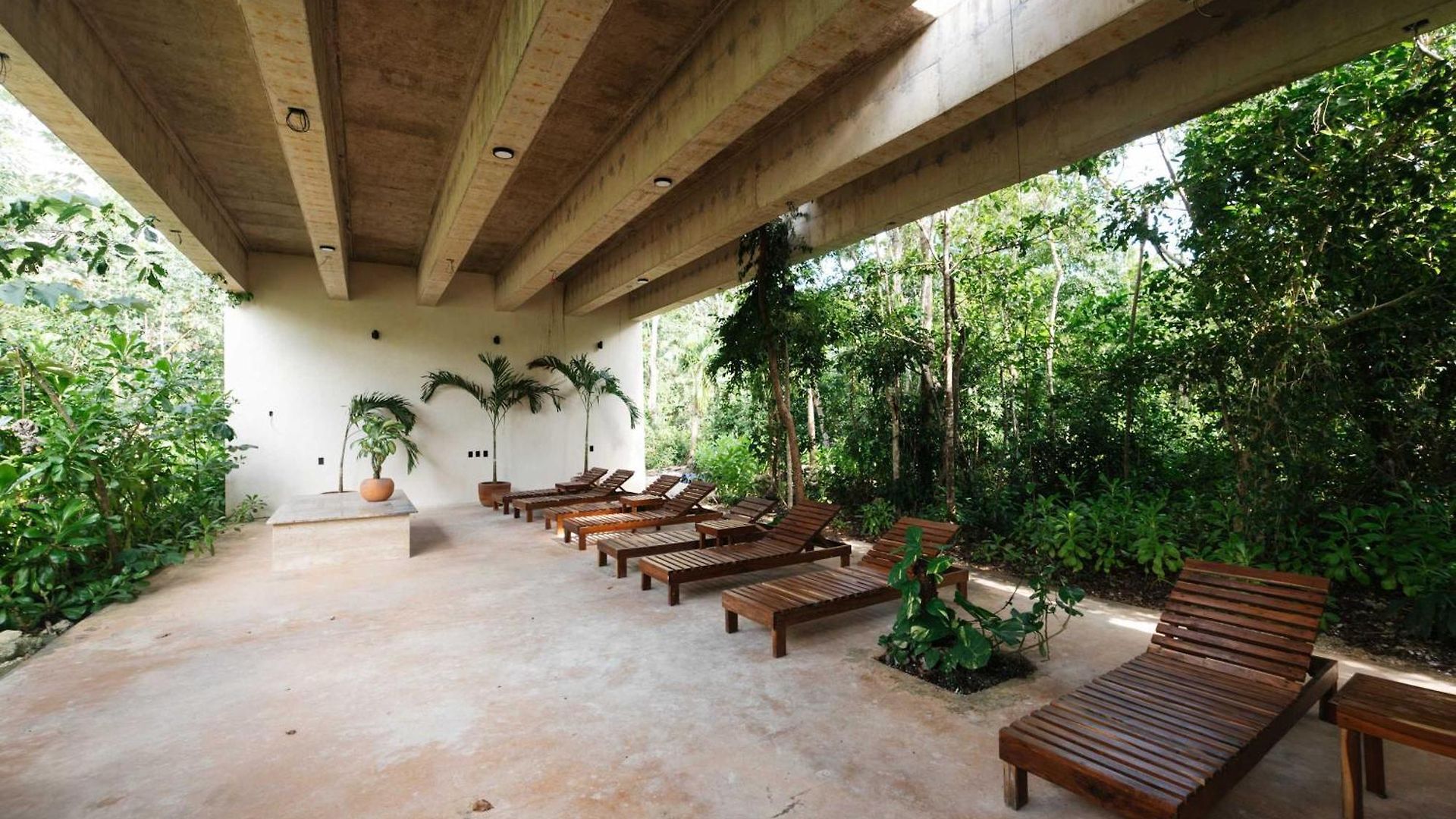 Luxury 4br In Limas Private Pool Villa Tulum
