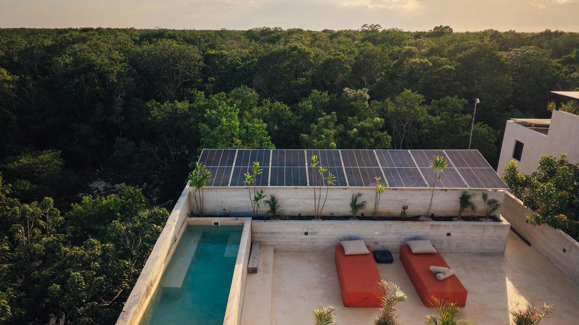 Kinich Nah - 2 Bedroom Penthouse Rooftop And Pool Amazing Jungle View Apartment *