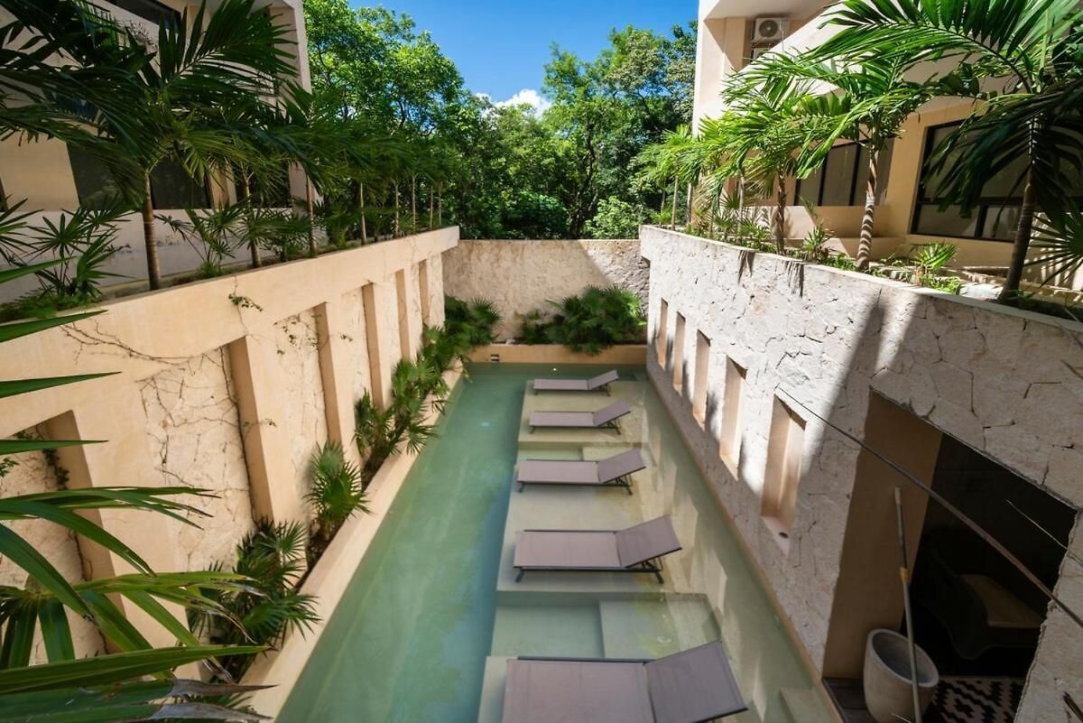 Apartment Modern In The Mayan Jungle In 1 Bedroom *