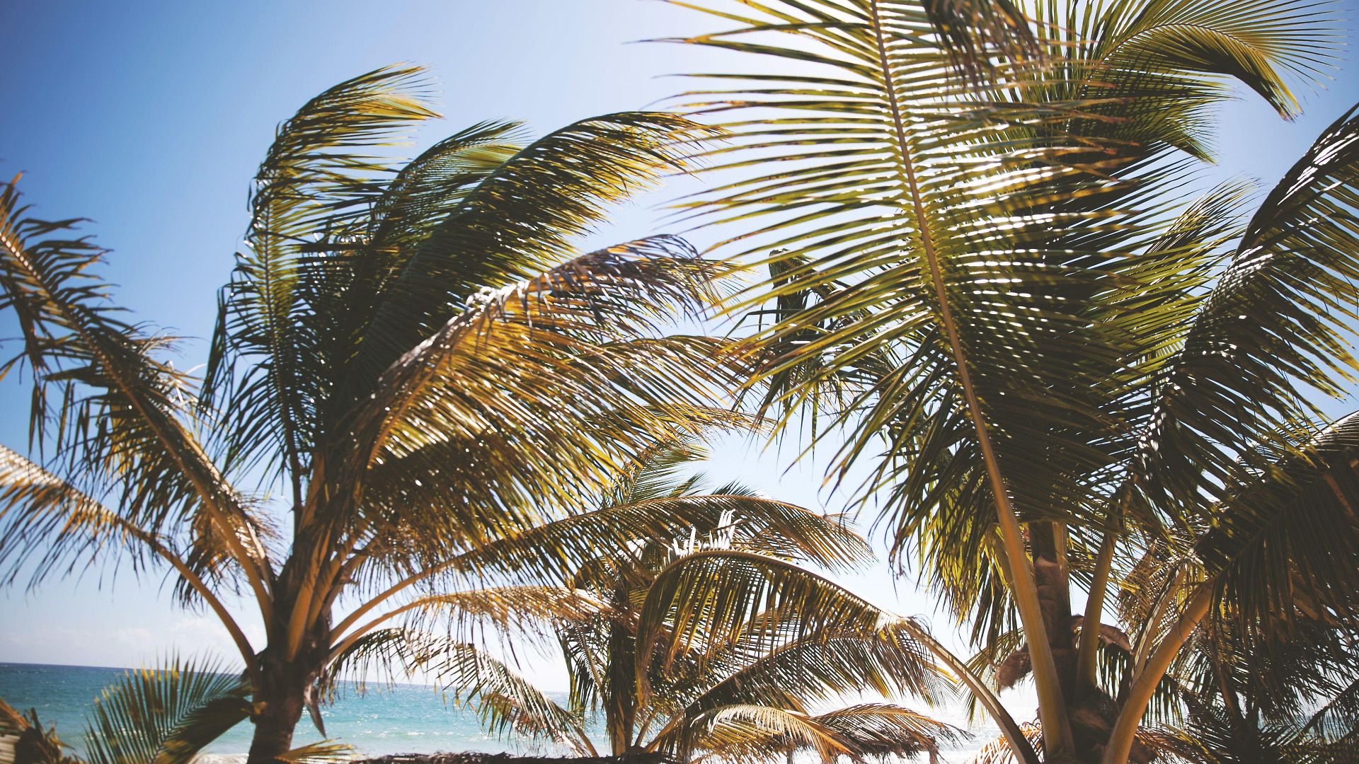 Hotel Nomade Temple Tulum