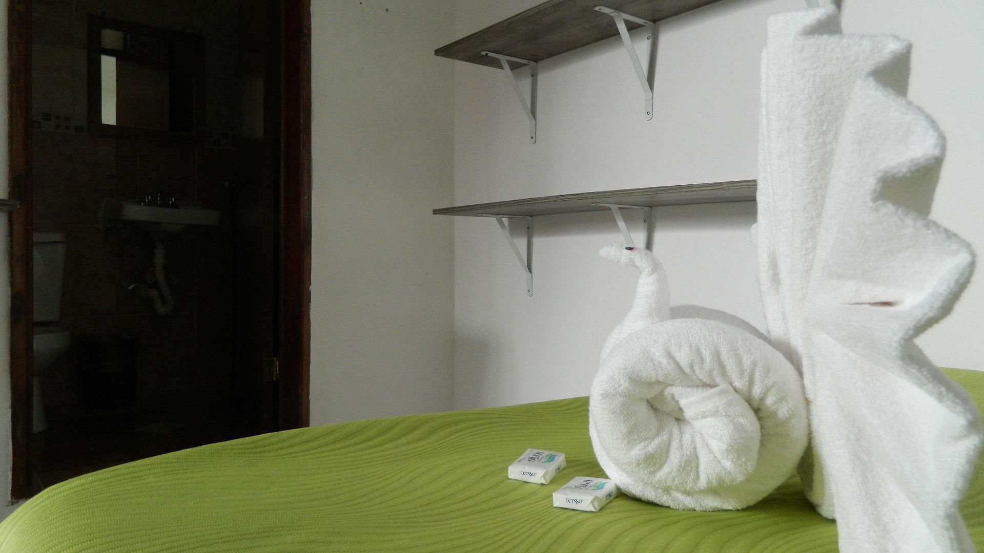 Hostal Emotion Avenida &