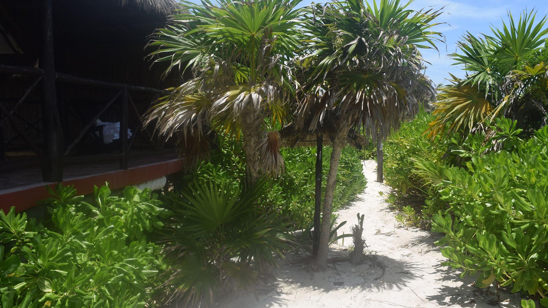 Pocna Tulum