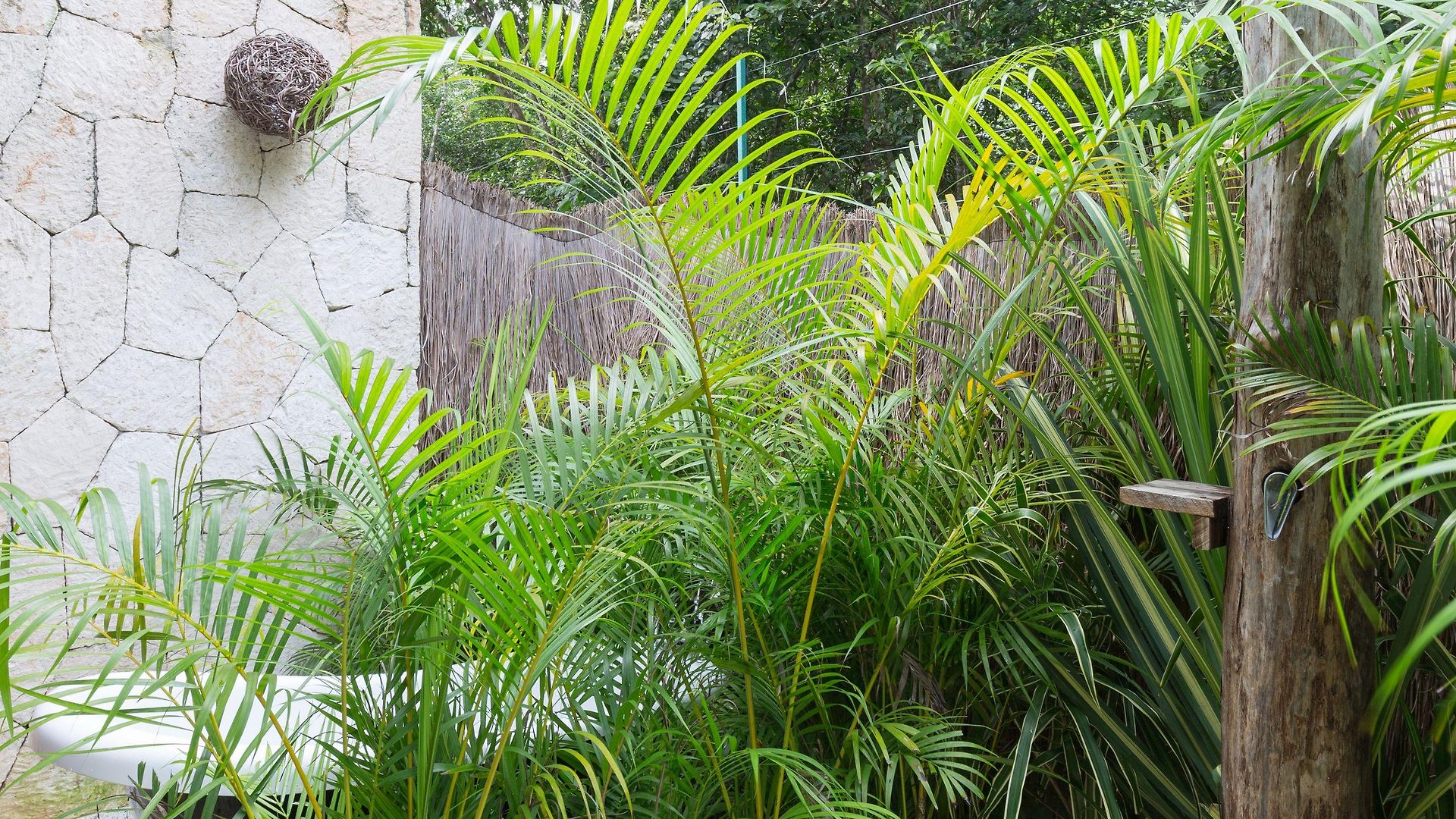 Hotel Vida Tulum