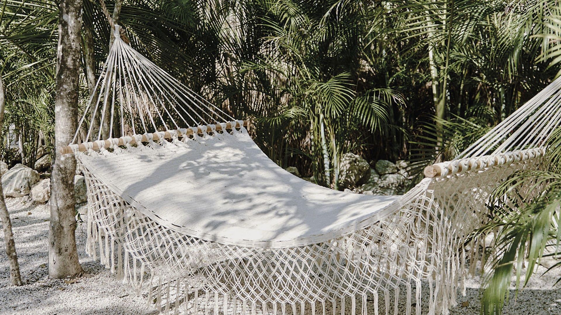 Vida Hotel Tulum