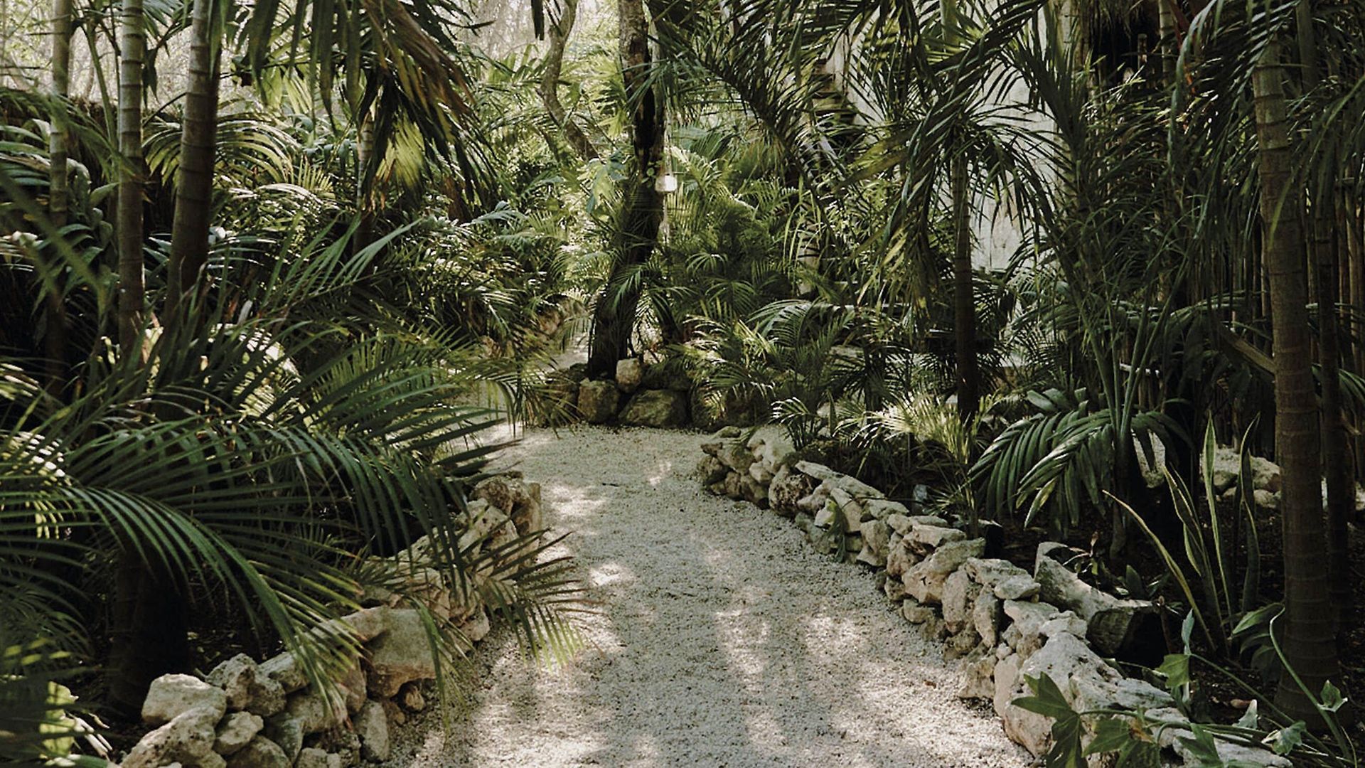 Vida 5* Tulum
