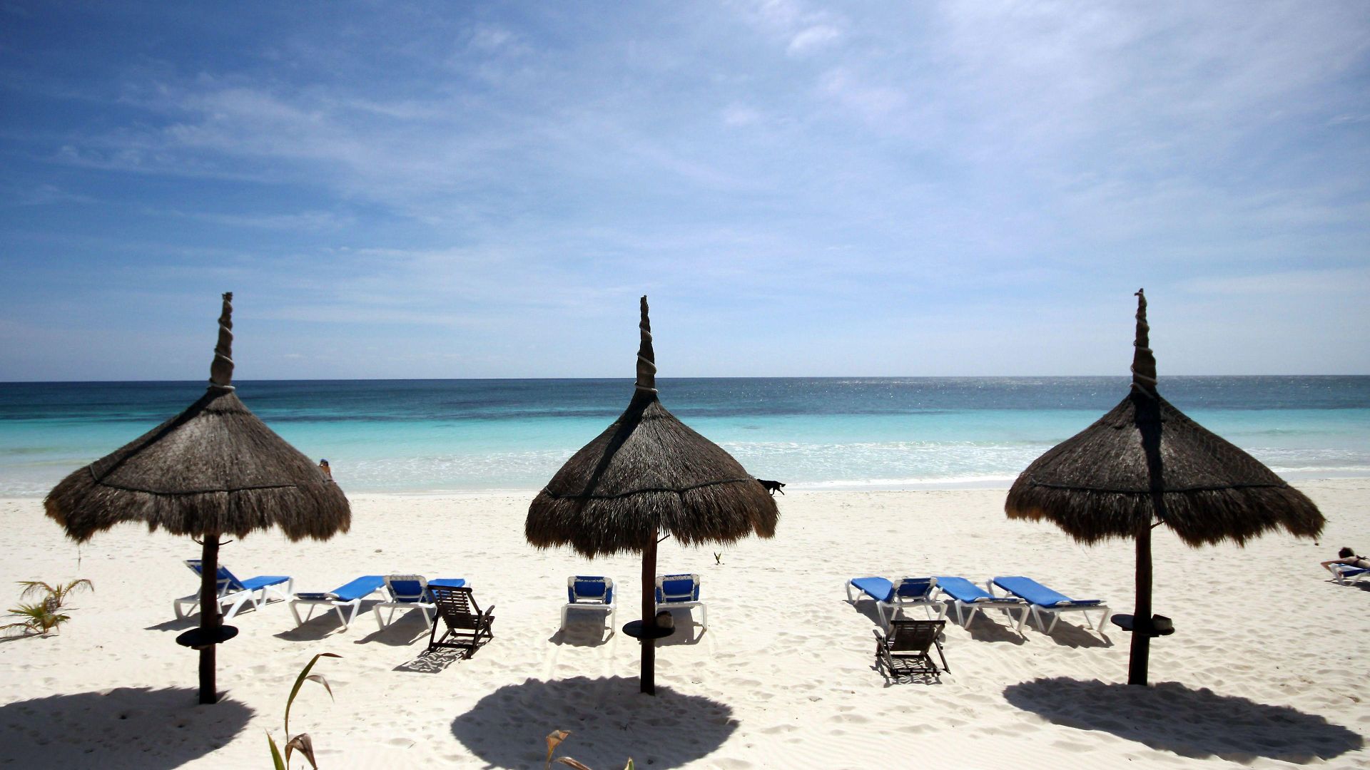 Hotel Dos Ceibas - Feel Good 4*
