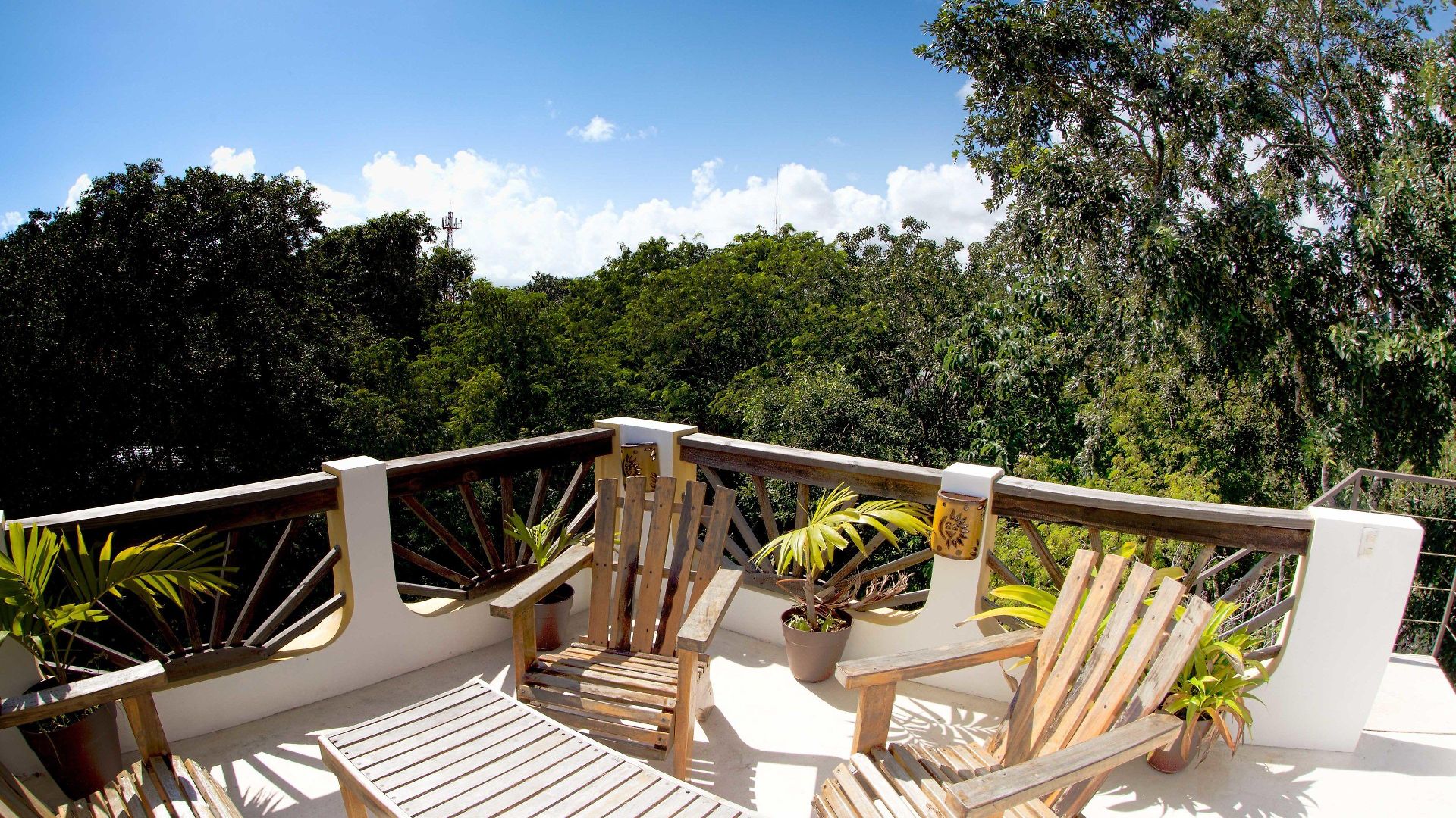 Mango Tulum