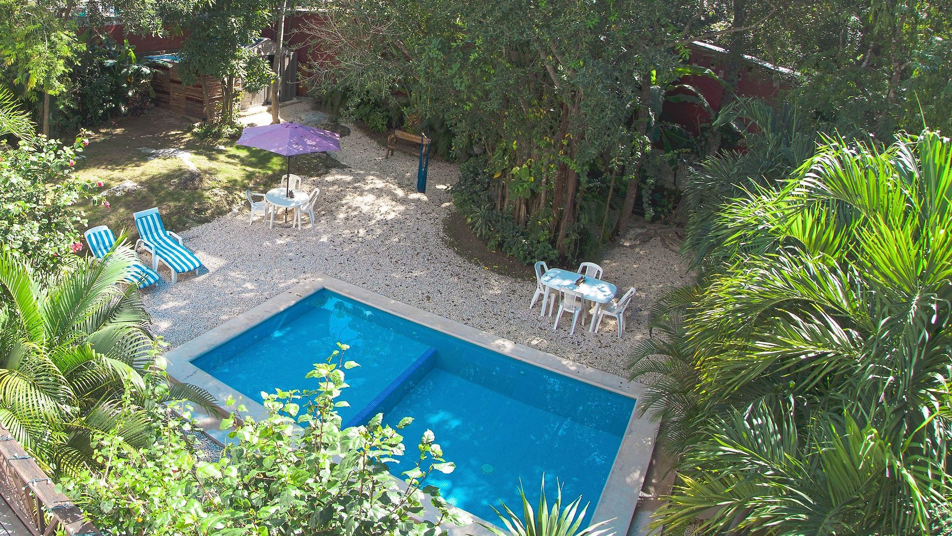 Mango Hotel