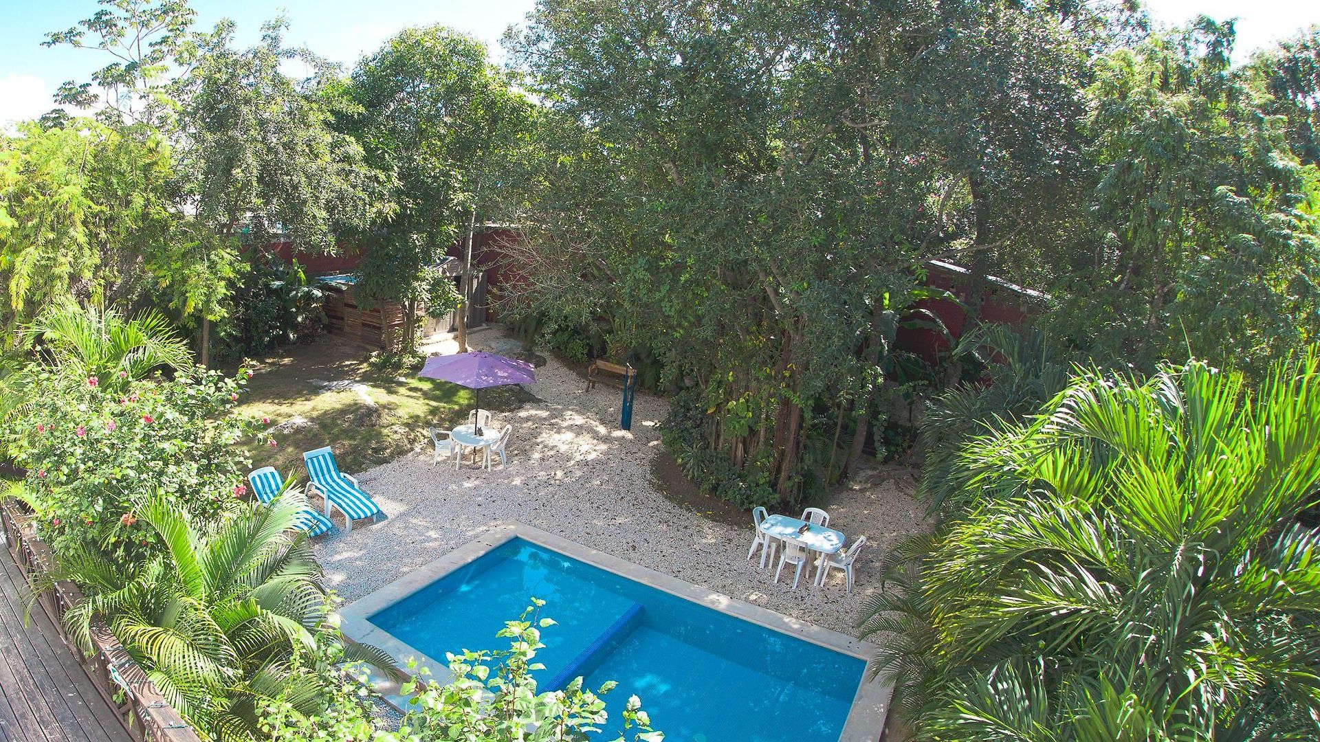 Hotel Mango 3*