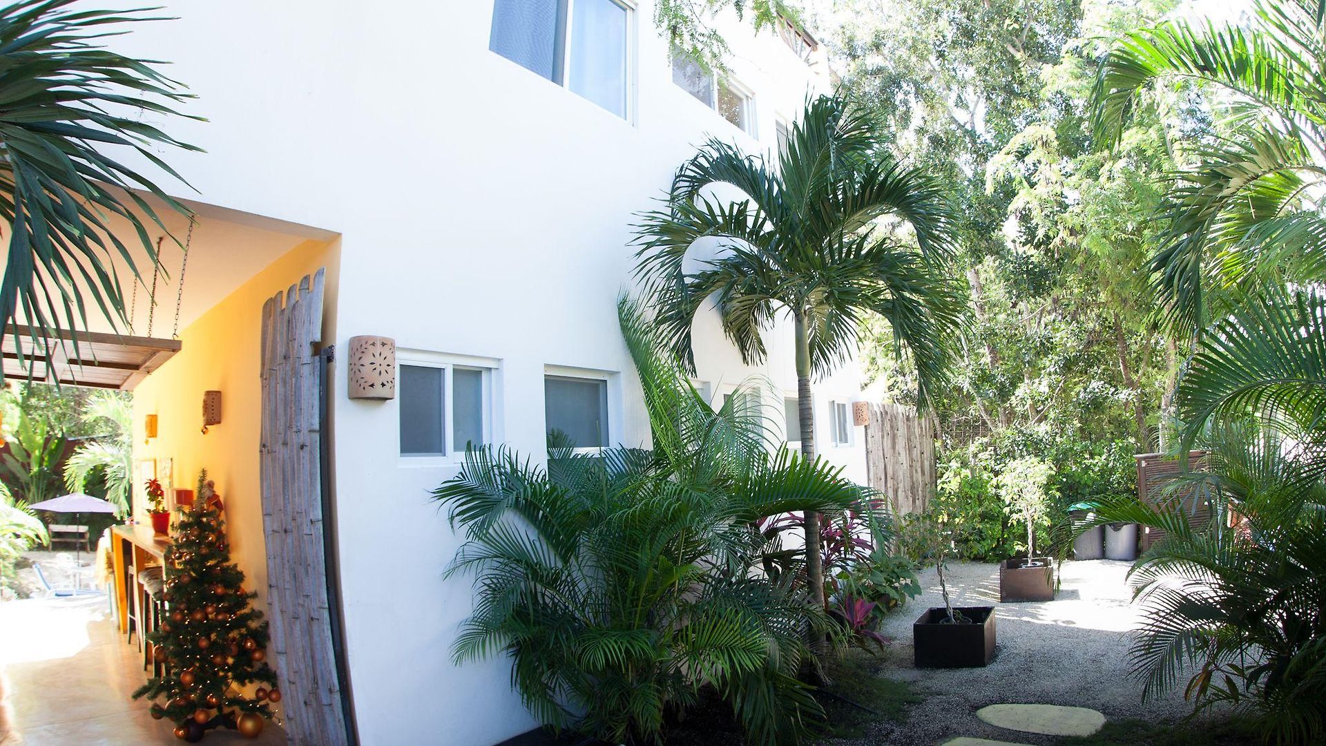 Mango Tulum