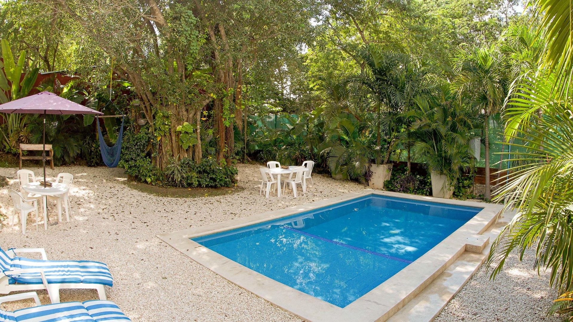 Mango Tulum