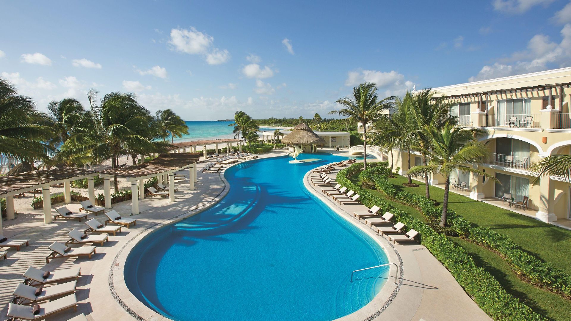 Resort Dreams & 5*