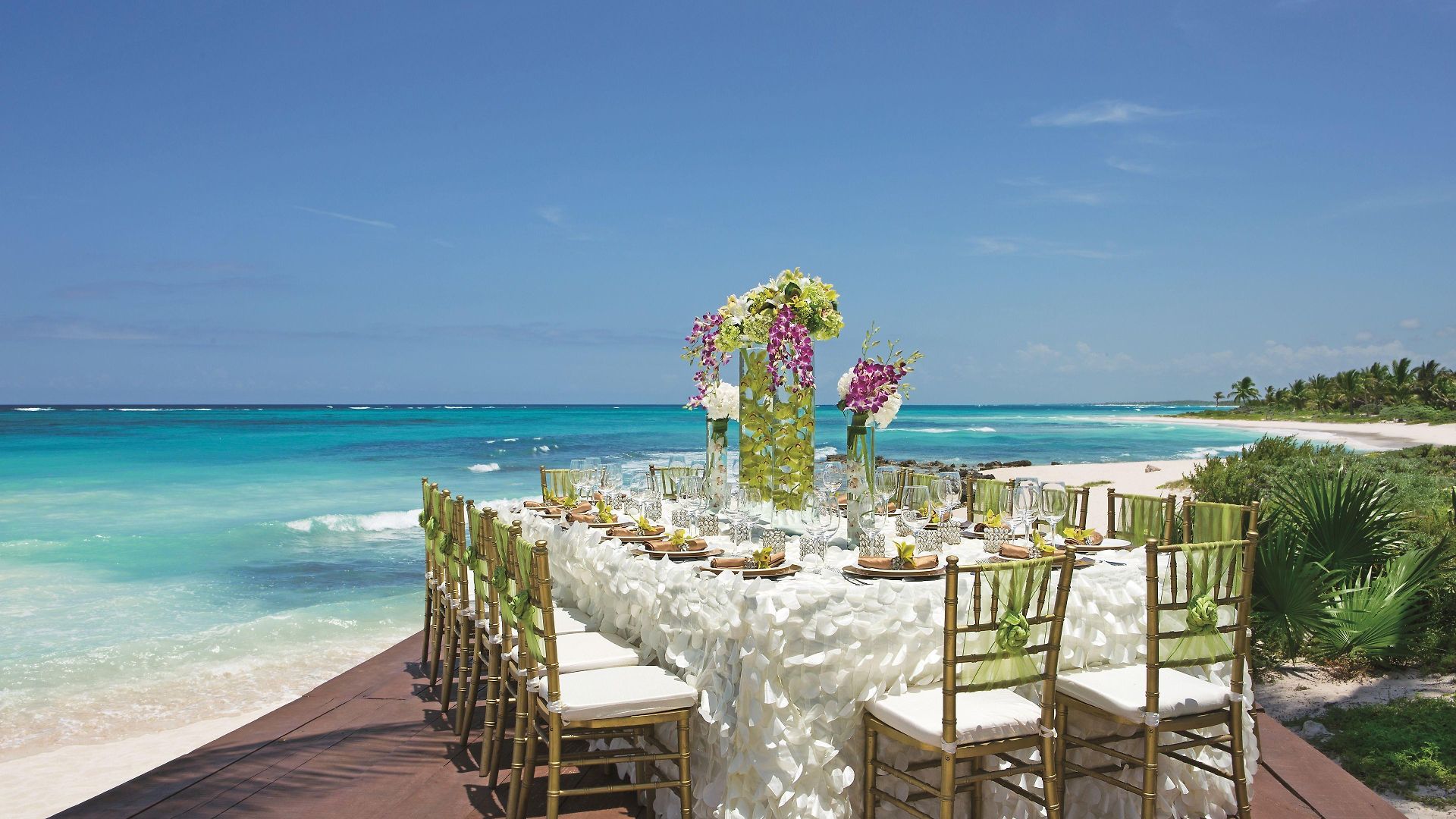 Resort Dreams & 5*