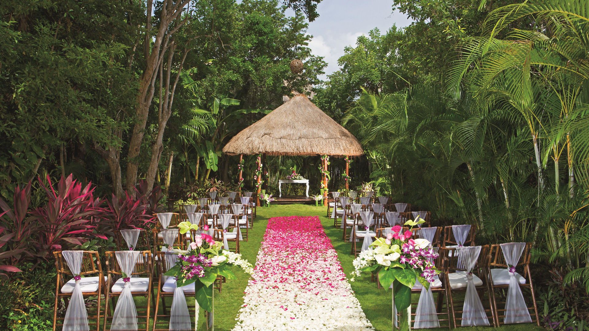 Resort Dreams & 5*