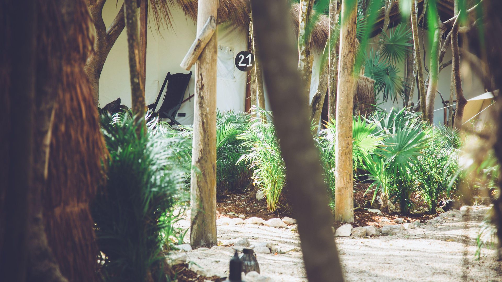 Our Habitas - Adults Only