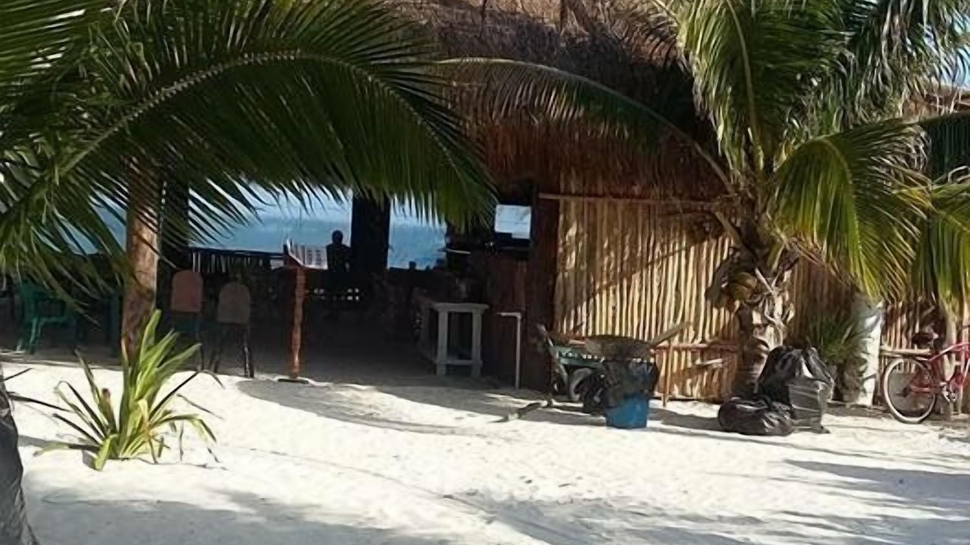 Playa Palmas Glamping Tulum