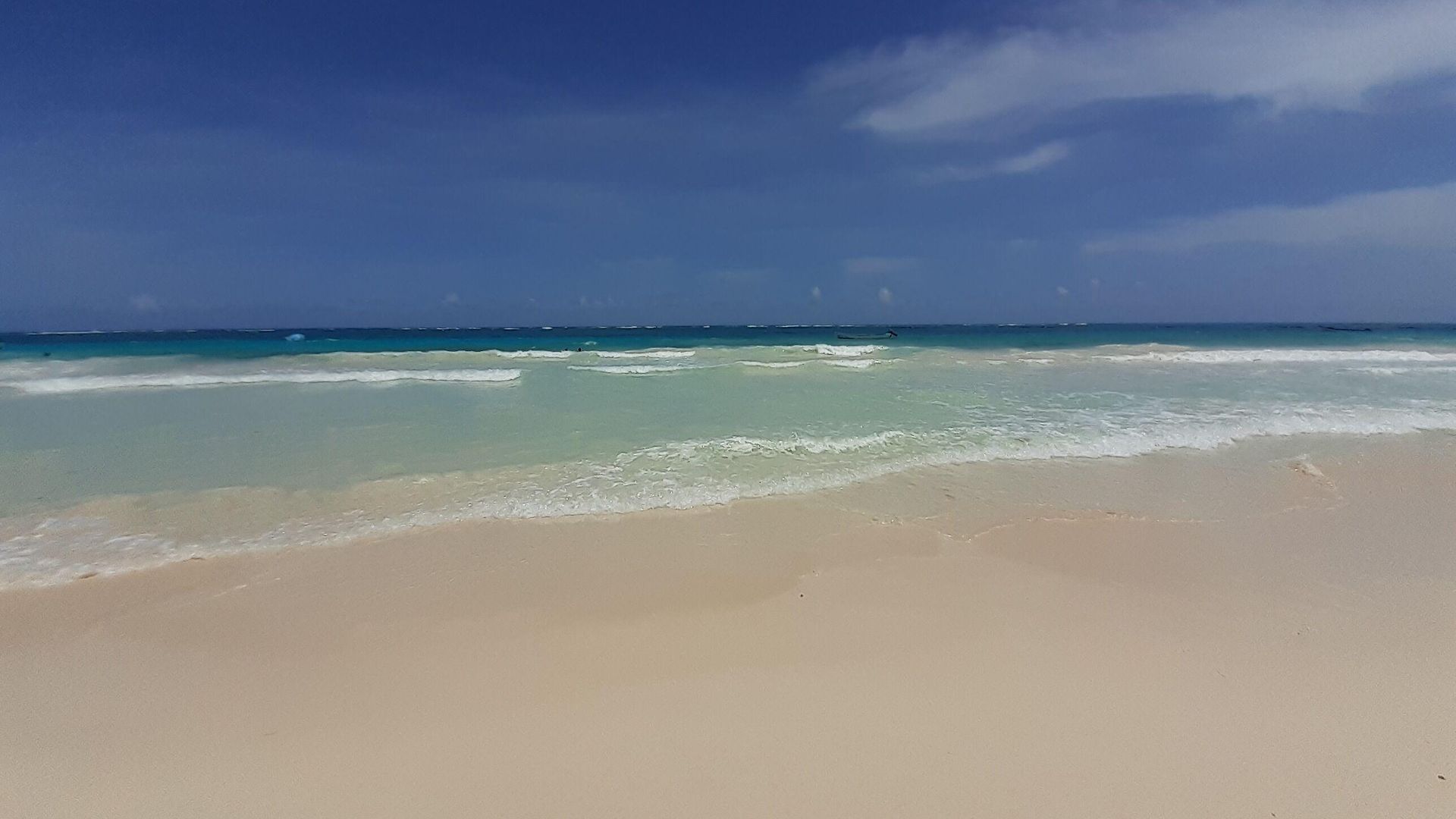 Playa Palmas Glamping