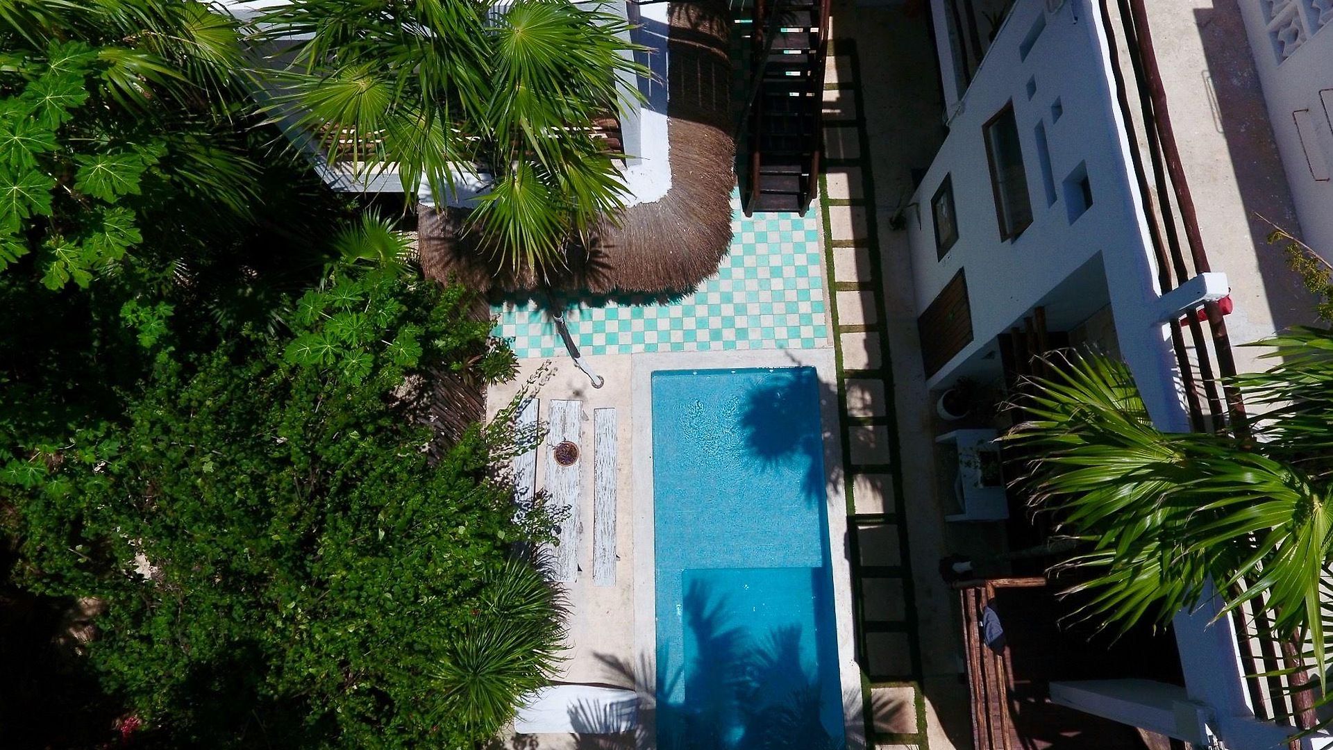 Tuup Jungle Apartahotel