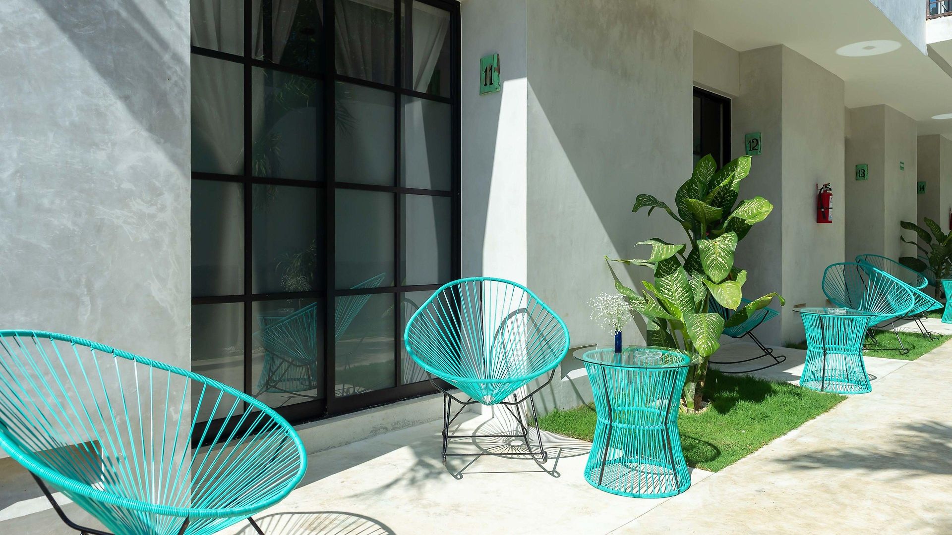 Turquoise (adults Only) 3*