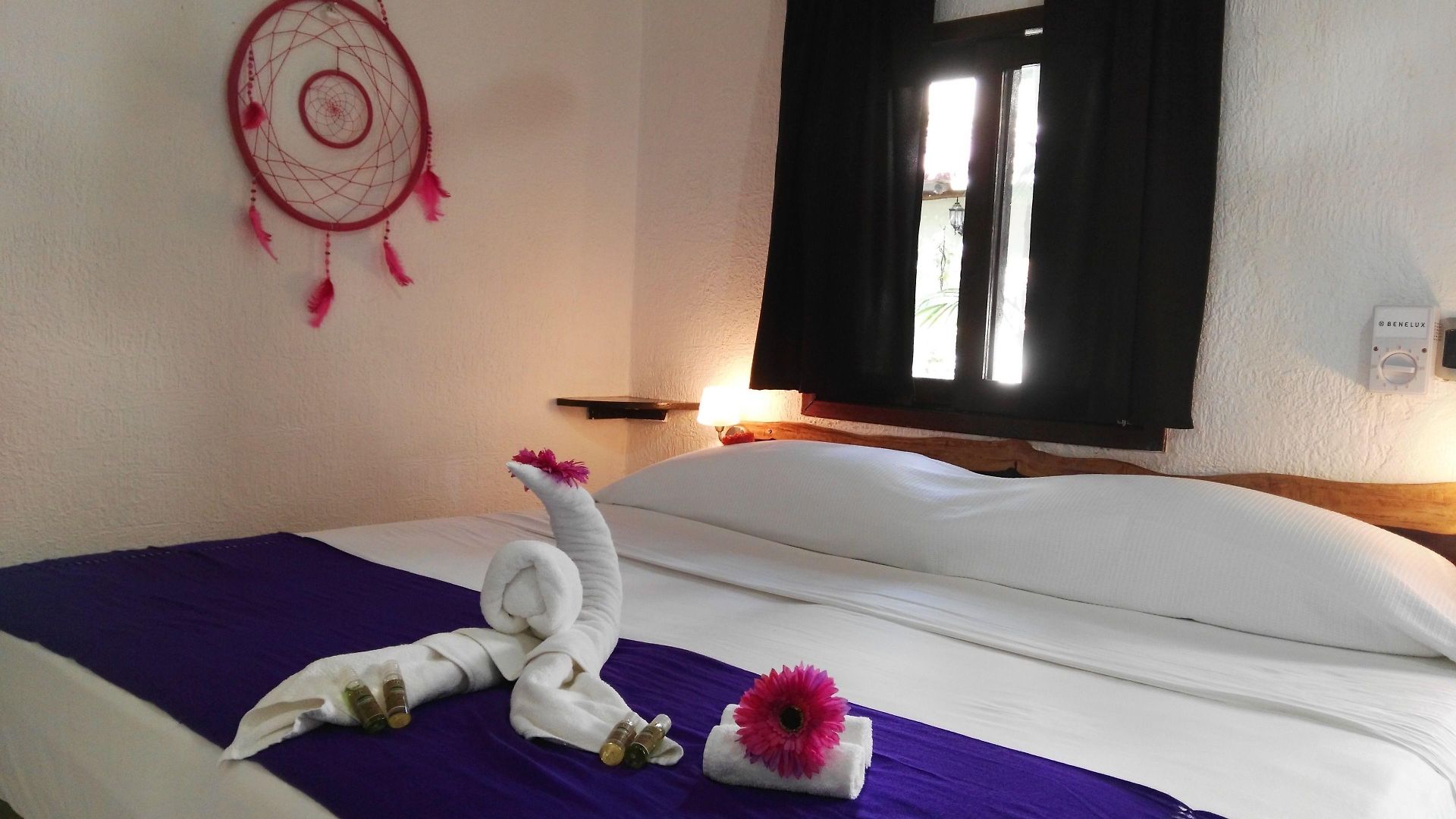 Pacha Boutique Hotel