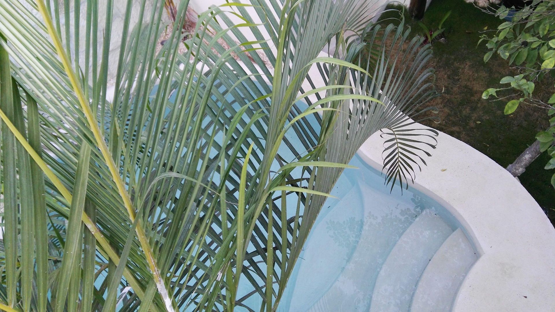 Pacha Boutique Hotel Tulum