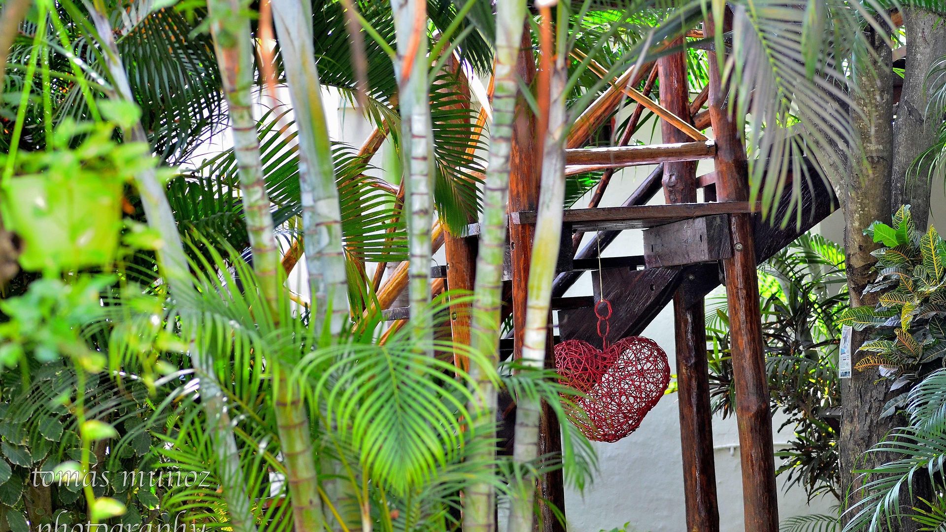 Pacha Boutique 4* Tulum
