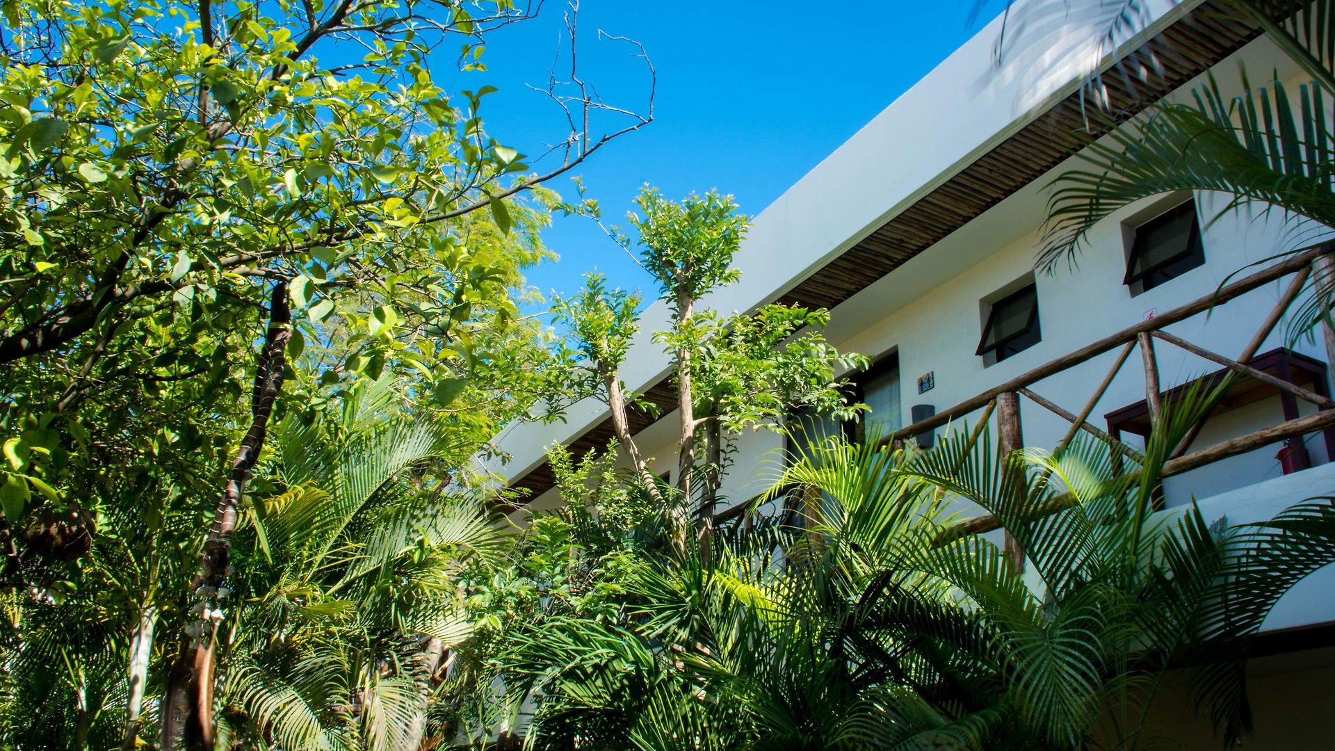 Pacha Boutique Hotel 4*